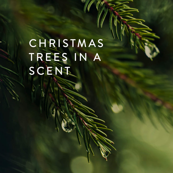 Thymes - Frasier Fir Petite Hand Cream â‚¬â€œ 3.4 Ounces