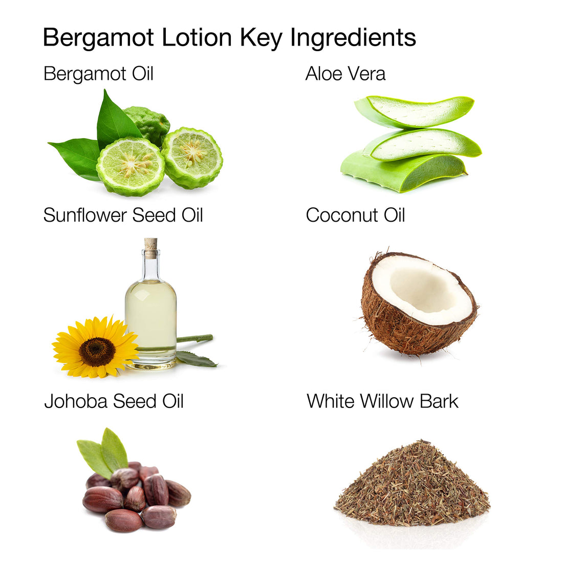ALOA Skincare Bergamot Lotion Antioxidant Face Moisturizer