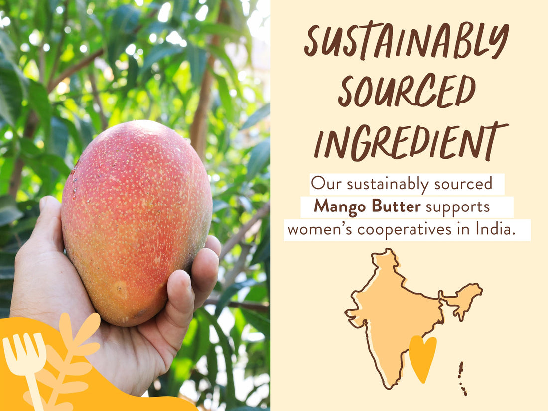 Babo Botanicals Nourishing Mango & Hibiscus Conditioner - For Dry, Damaged, Color-Treated Hair – Moisturize & Soften – Water-Resistant Carton 80% Less Plastic – Vegan – Silicone Free