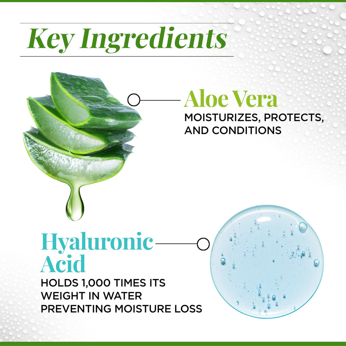 CHI Naturals with Aloe Vera Hydrating Shampoo, Helps Reduces Dryness, Damage & Breakage & Increase Shine, Sulfate, Paraben, & Cruelty-Free, 12 Oz