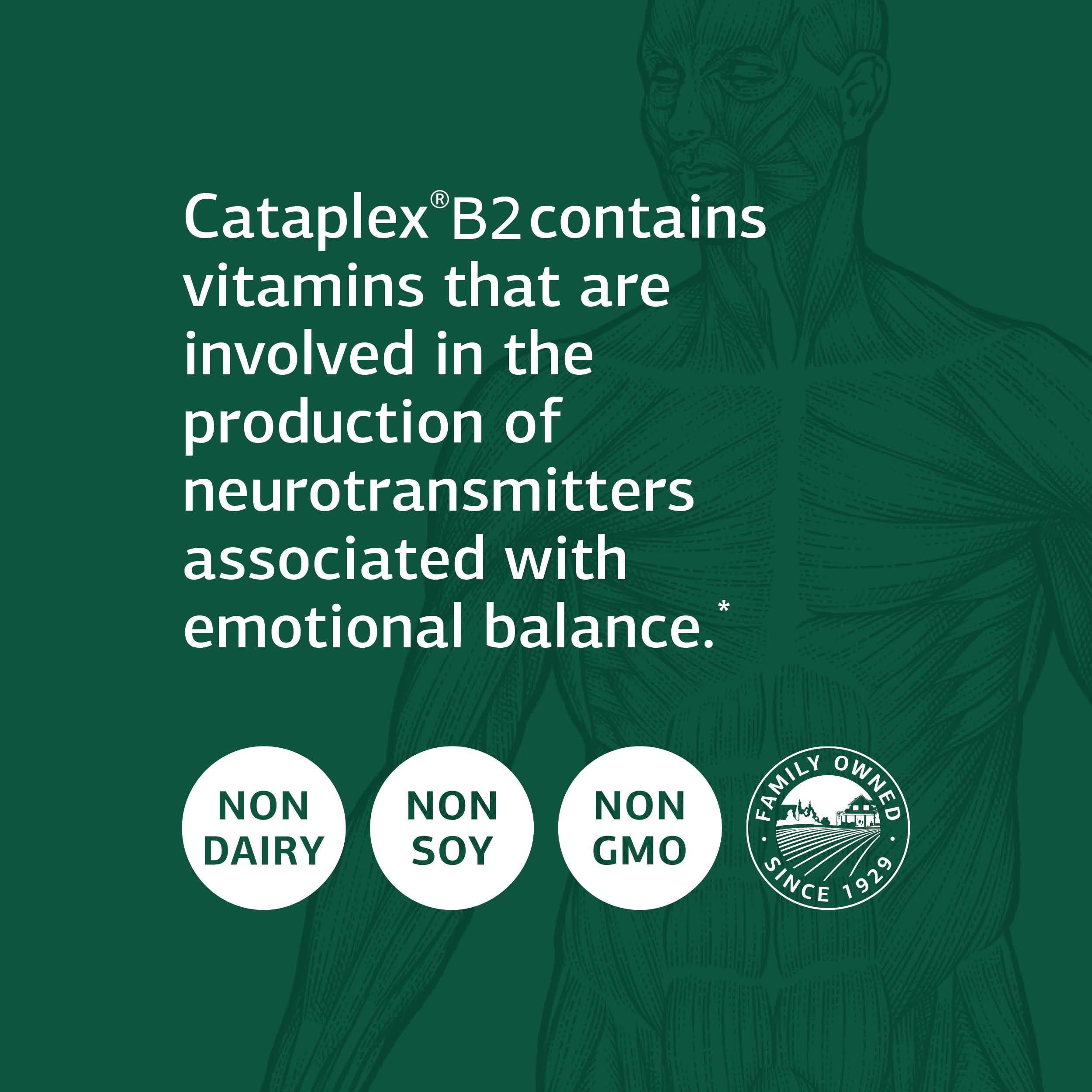 Standard Process Inc. Cataplex B2 - Whole Food Nervous System Supplements, Metabolism, Brain Supplement and Liver Support with Calcium Lactate, Riboflavin, Wheat Germ, Choline - 90 Tablets