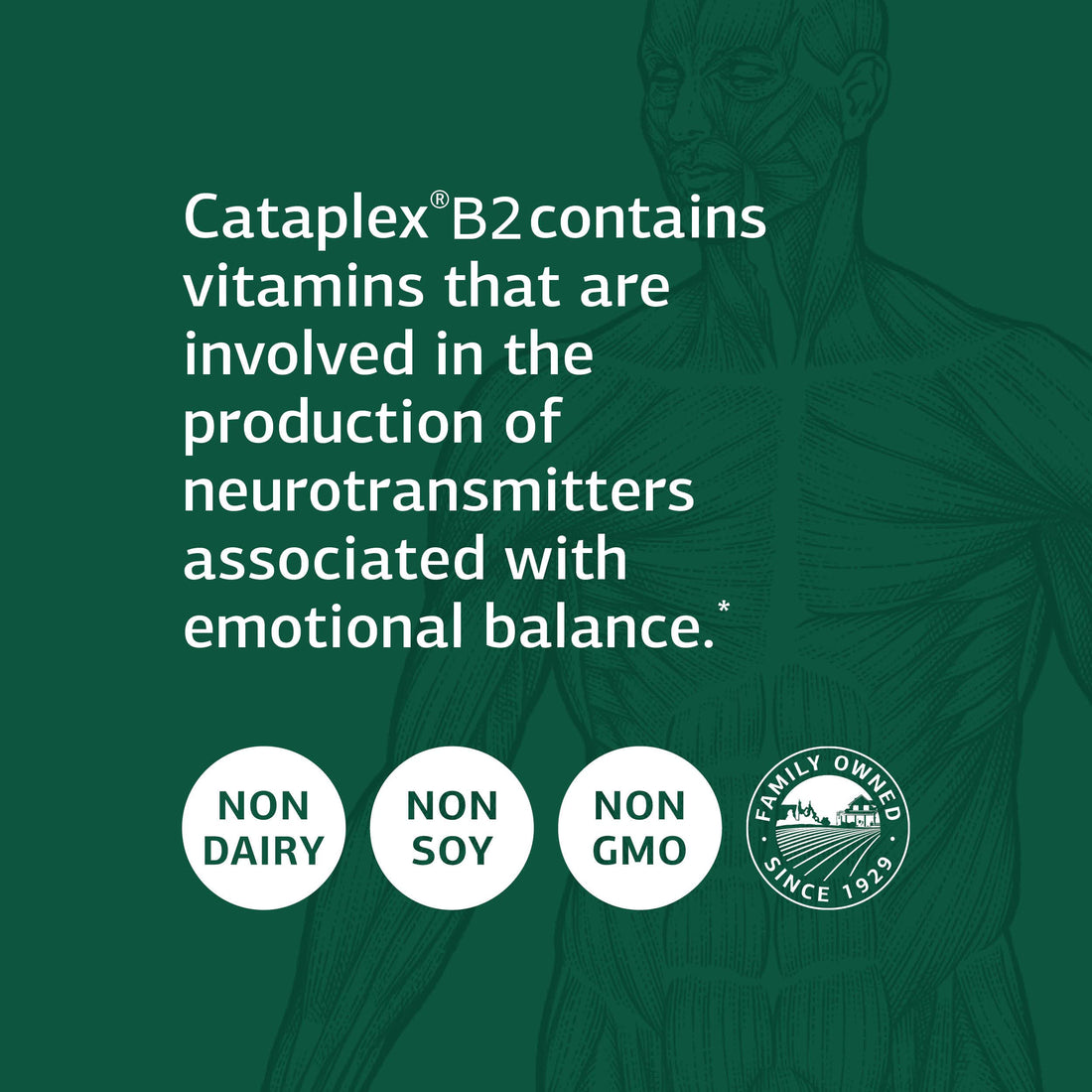 Standard Process Inc. Cataplex B2 - Whole Food Nervous System Supplements, Metabolism, Brain Supplement and Liver Support with Calcium Lactate, Riboflavin, Wheat Germ, Choline - 90 Tablets