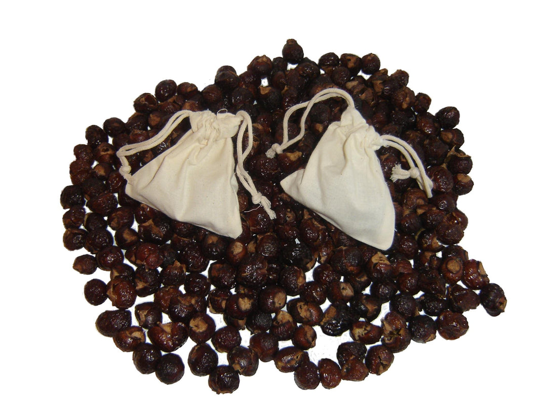 2.5 Pounds Greenwill Soap Berries / Soap Nuts - With Washbag and Brochure - Deseeded