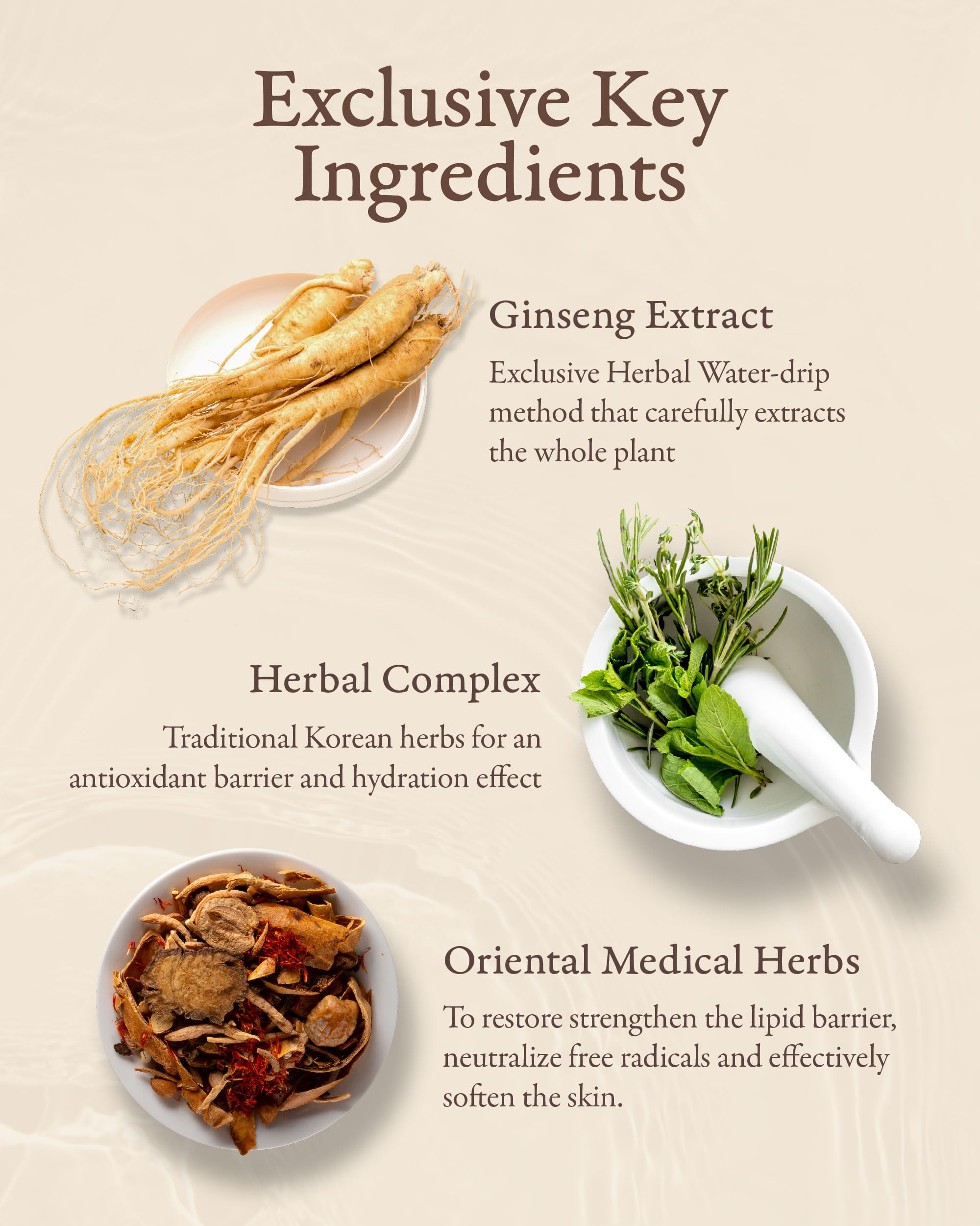 Sooryehan Bon Extra Moisture Cream