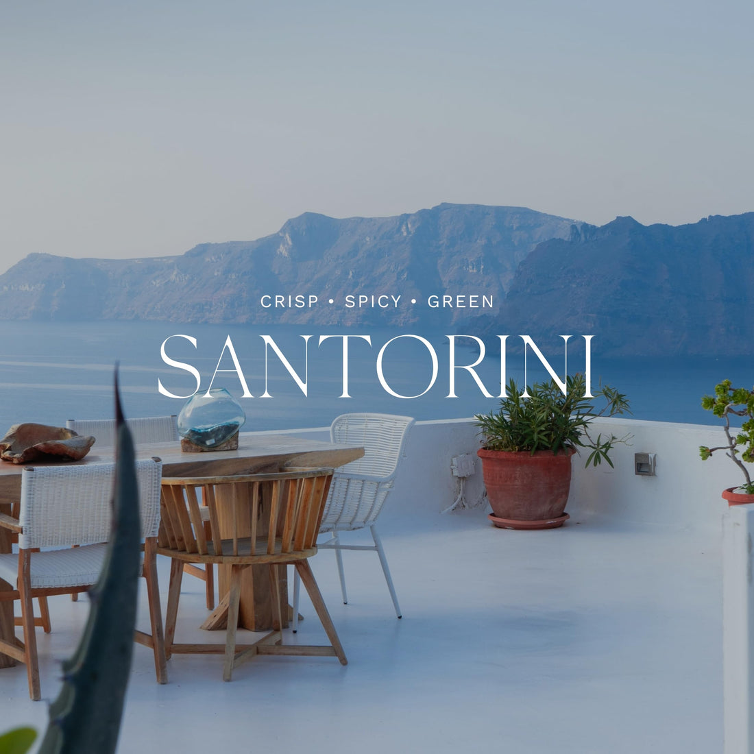 Antica Farmacista Hand Wash, Santorini, 10 fl. oz.