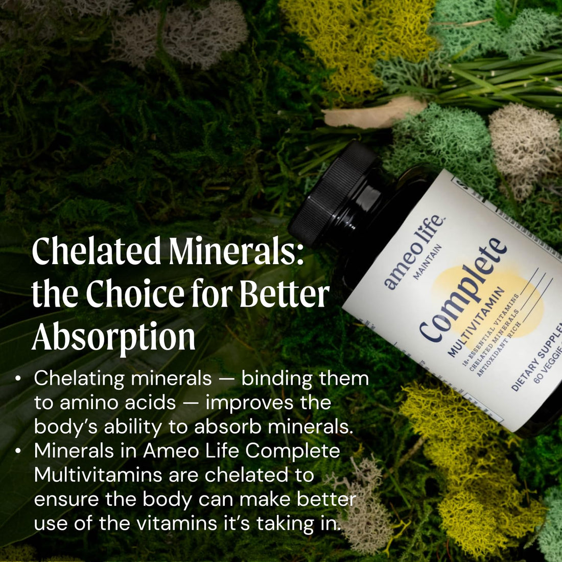 Ameo Life Chelated Daily Multivitamins for Adult Men and Women - Multi Vitamin Supplement with Zinc, Biotin, Iodine, Chromium, Manganese and Vitamins A, B6, B12, C, D and E - 60 Capsules