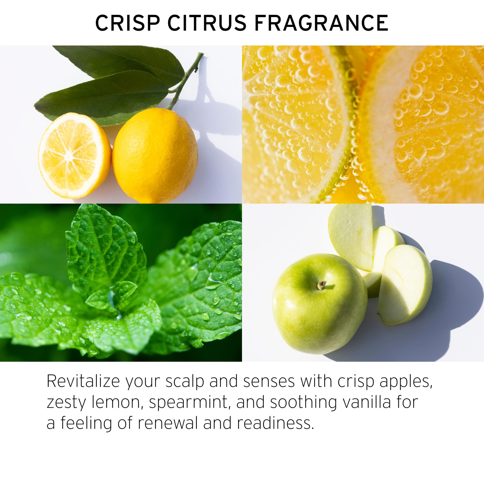 Fekkai Apple Cider Detox Scrub (2 oz) + Apple Cider Detox Shampoo (2 oz) - Free of Sulfates, Parabens, Phthalates - Vegan, Cruelty-Free