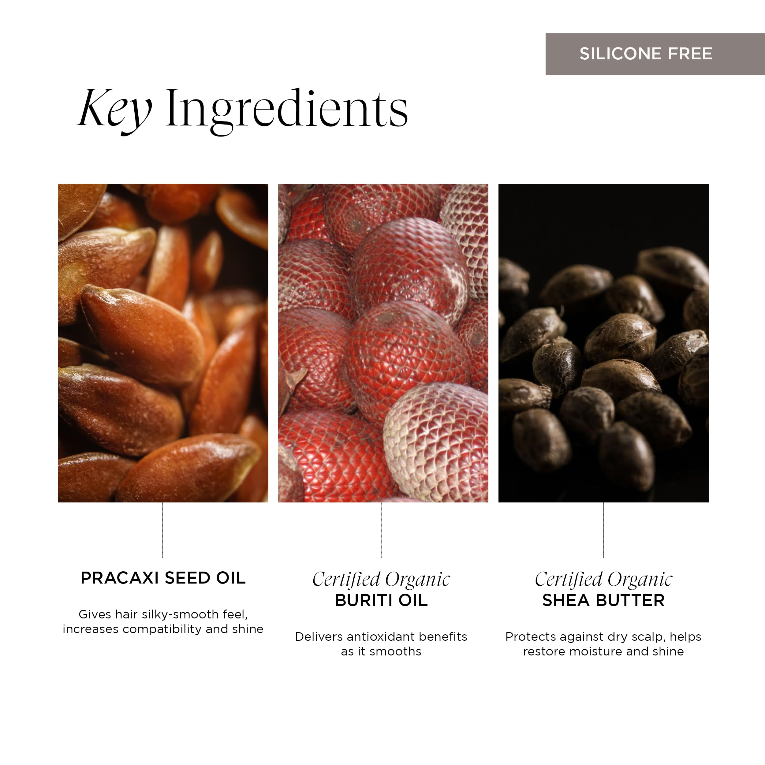 InspiraMint Conditioner, Invigorating Organic Mint Conditioner for Fine and Oily Hair with Peppermint Oil, Hydrating, Refreshing, Vegan, 8 Fl Oz