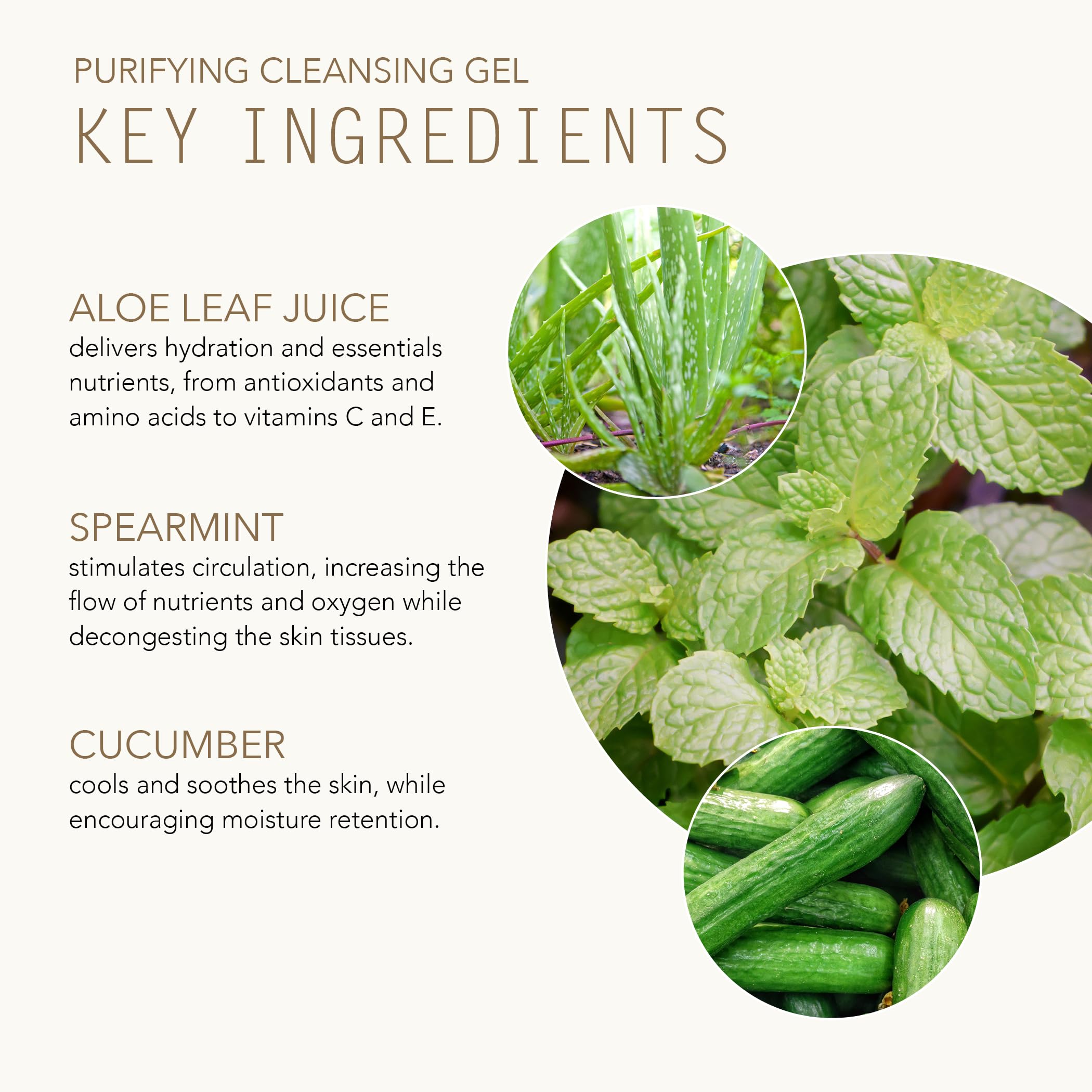 Tammy Fender Purifying Cleansing Gel