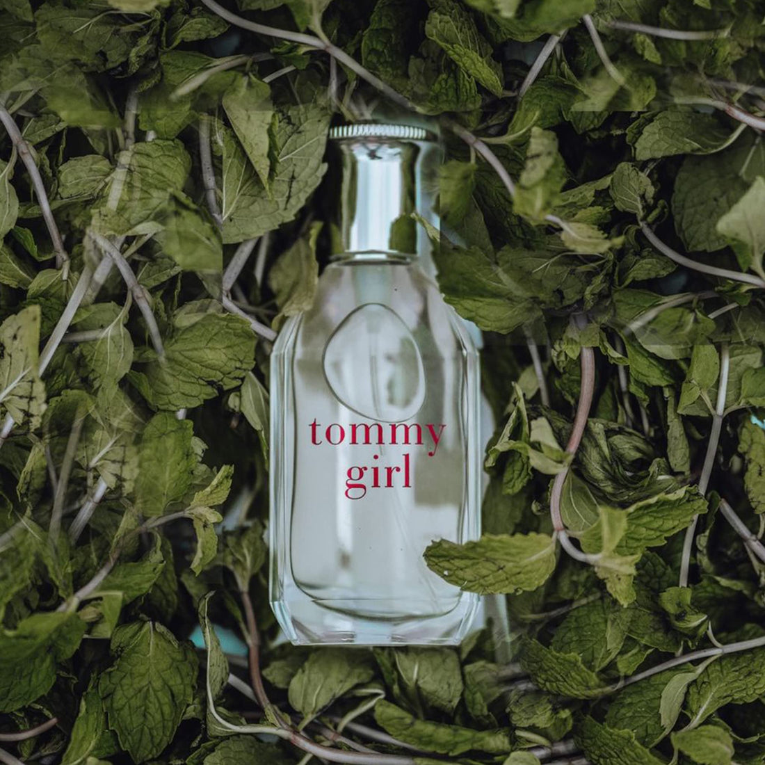 TOMMY HILFIGER Girl Eau de Toilette - 50 ml (For Women)