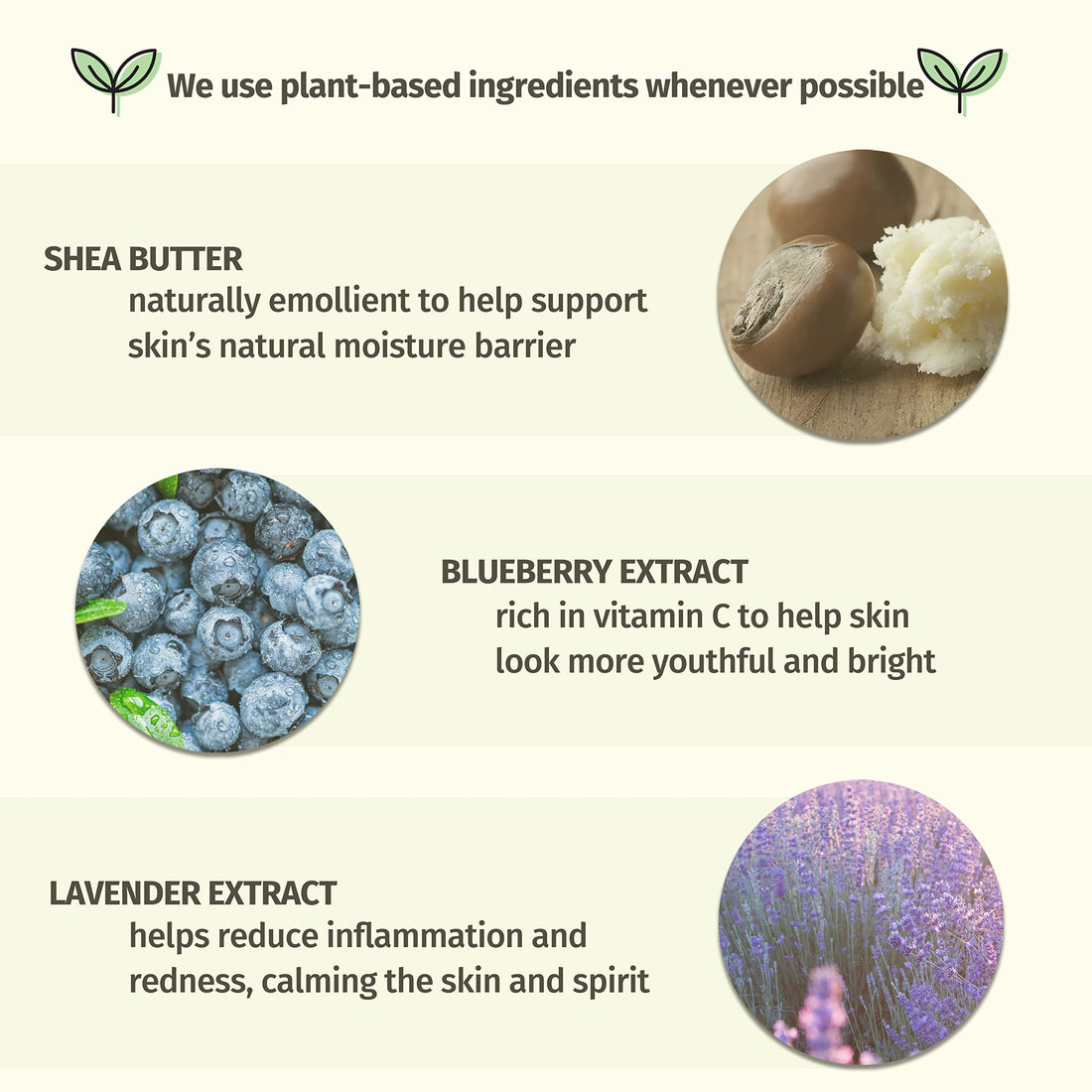 Blueberry Lavender & Chamomile Herbal Body Moisturizer, 17oz