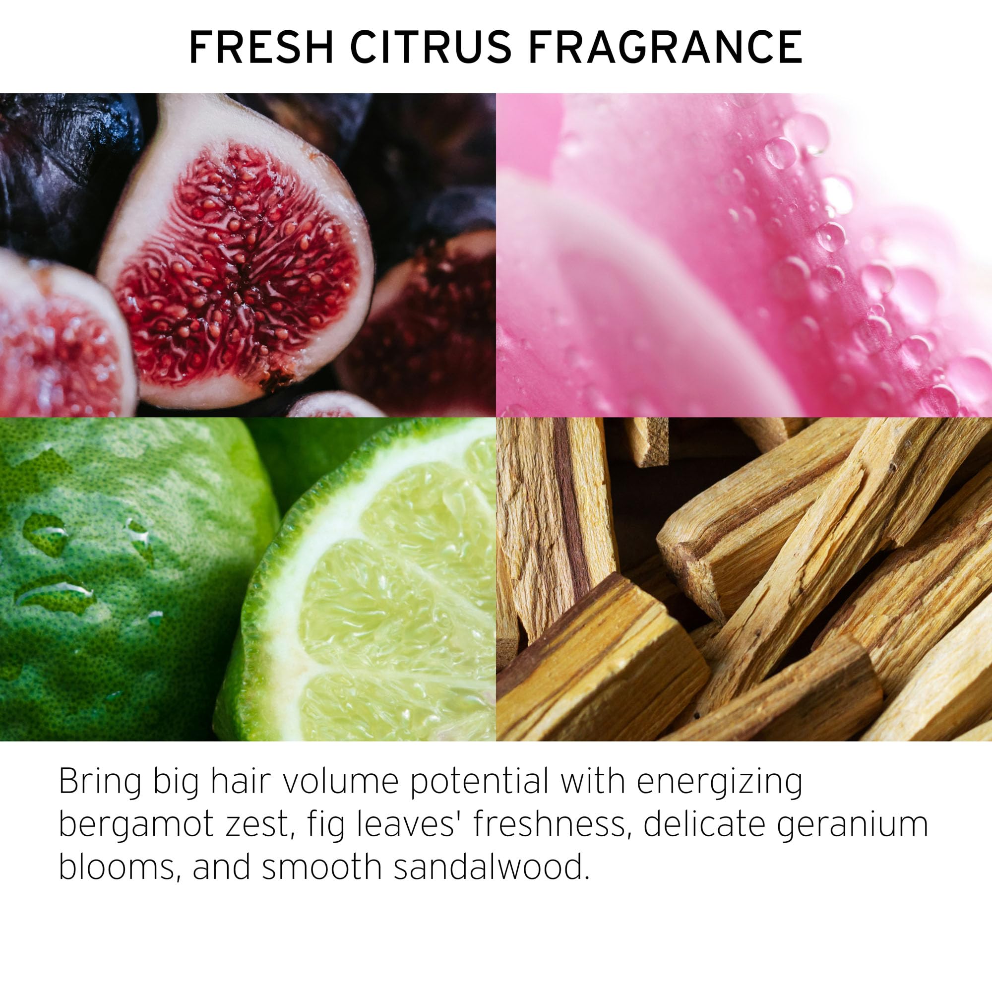 Fekkai Full Blown Volume Shampoo - 8.5 oz - Adds Lift & Body for Lasting Volume For Fine or Flat Hair - Vegan, Cruelty-Free