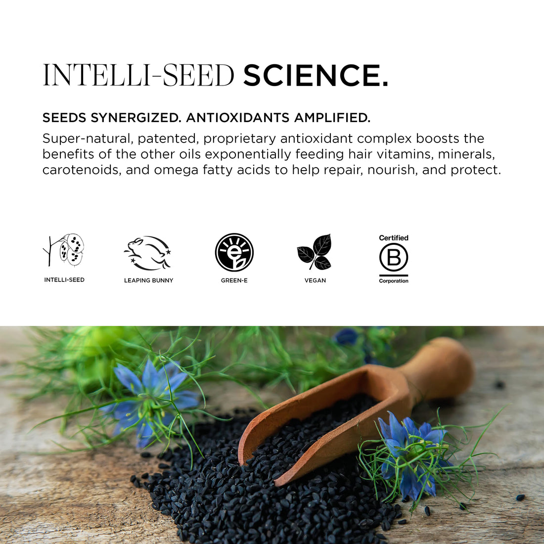 Intelligent Nutrients InspiraMint Shampoo, Invigorating Organic Mint Daily Shampoo for Fine and Oily Hair, Balancing, Refreshing, Color-Safe, Vegan, 8.5 Fl Oz