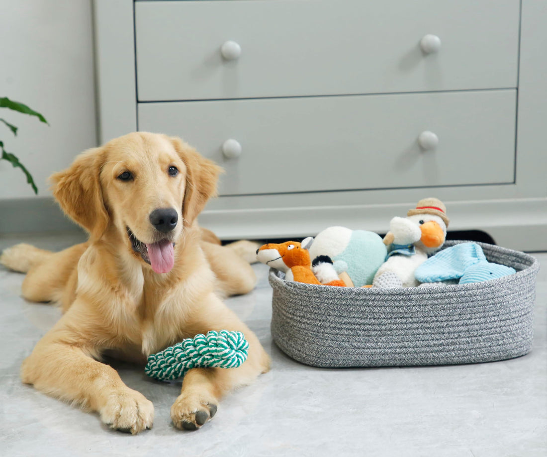 Woven Cotton Rope Storage Basket, Cube Changing Table Organizer for Closet Towels, Baby Nursery Bin, Small Dog Cat Toy Box, Gift Baskets empty (14.5x 11x 5) by CIKI HOME