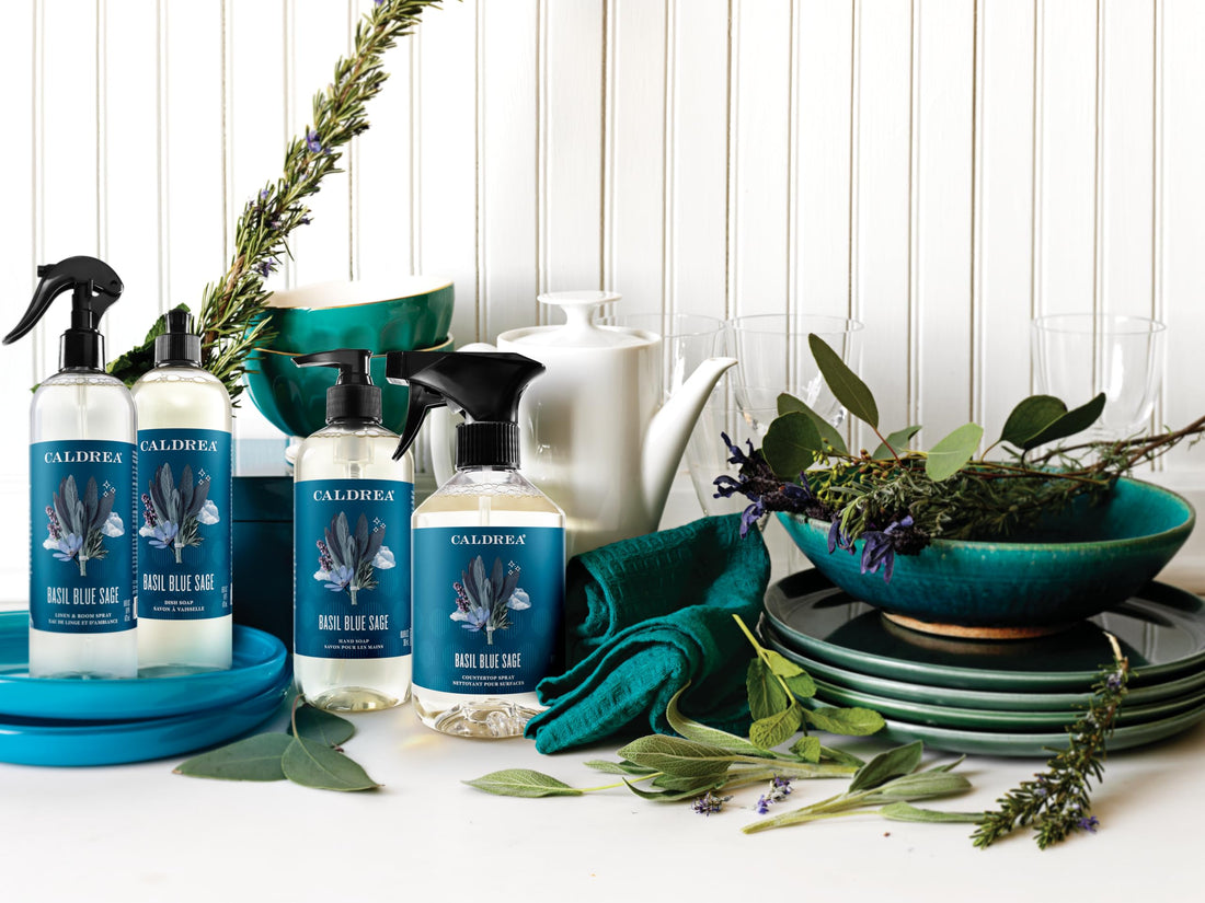 Caldrea Hand Soap, Basil Blue Sage, 10.8 oz