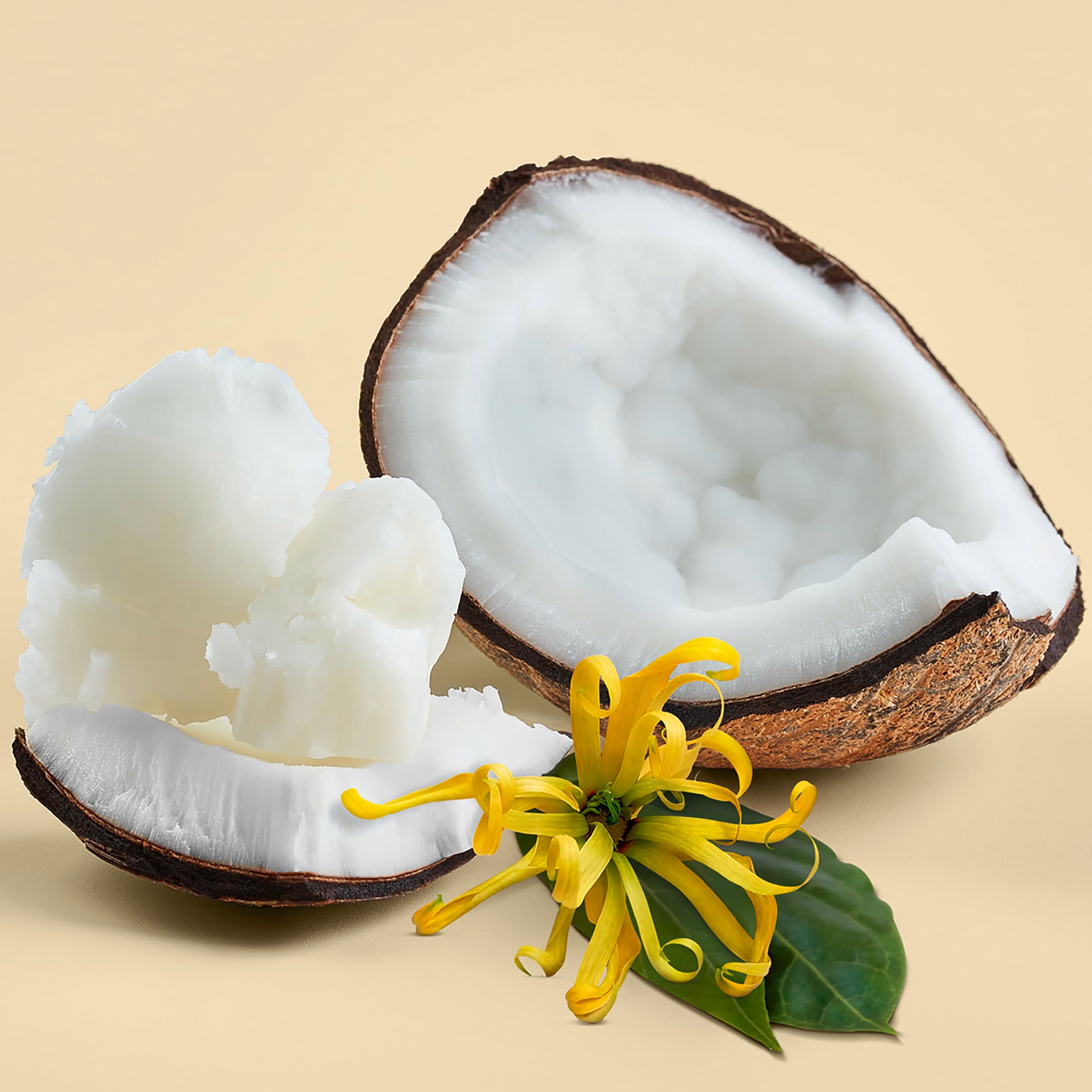 Love Beauty And Planet Conditioner, Hope and Repair for Split Ends, Dry & Damaged Hair Treatment with Coconut Oil & Ylang Ylang, 32.3 oz, Vegan,