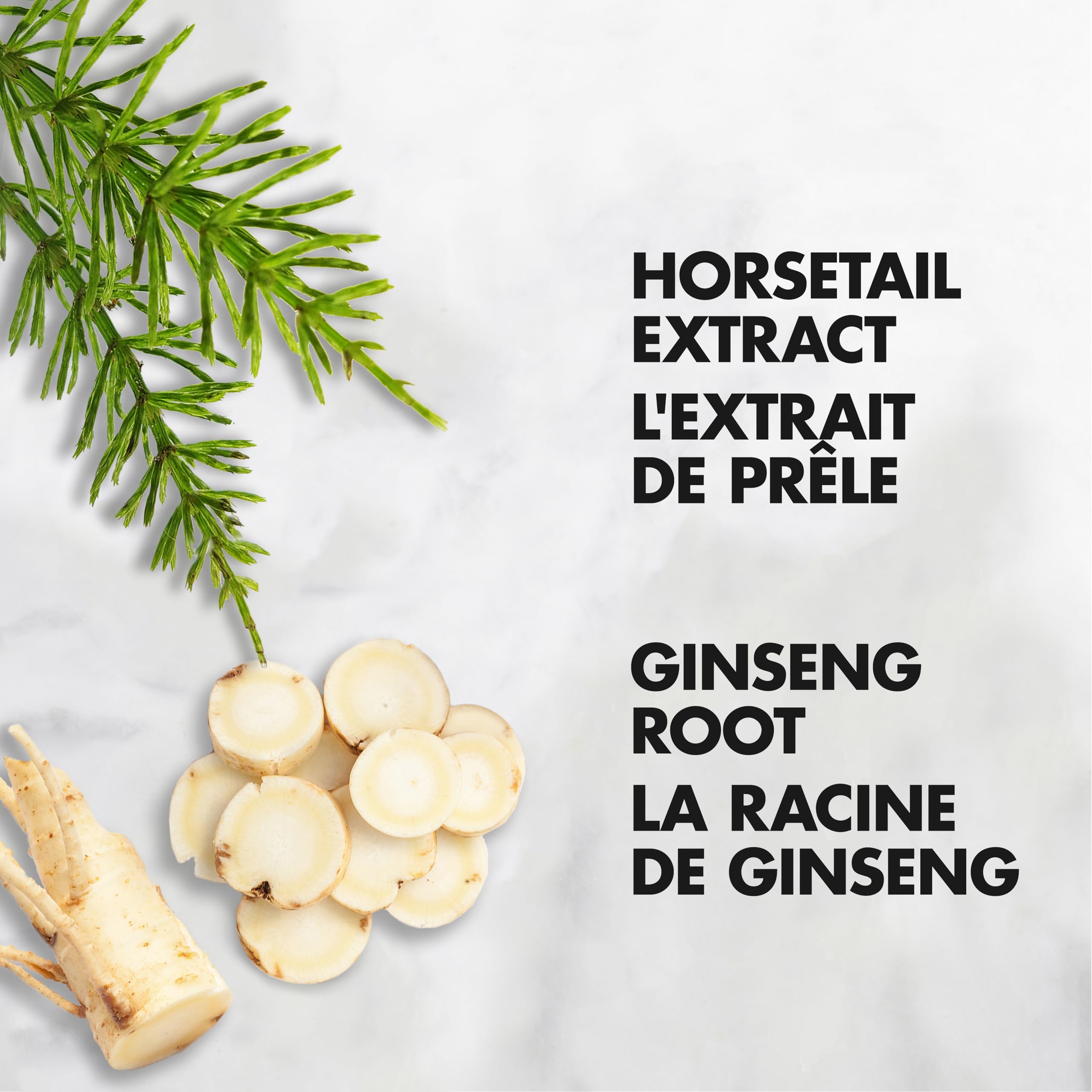 Shea Moisture Cannabis Sativa Hemp Seed Oil Lush Length Conditioner Unisex, 12.98 Fl Oz (Pack of 1)