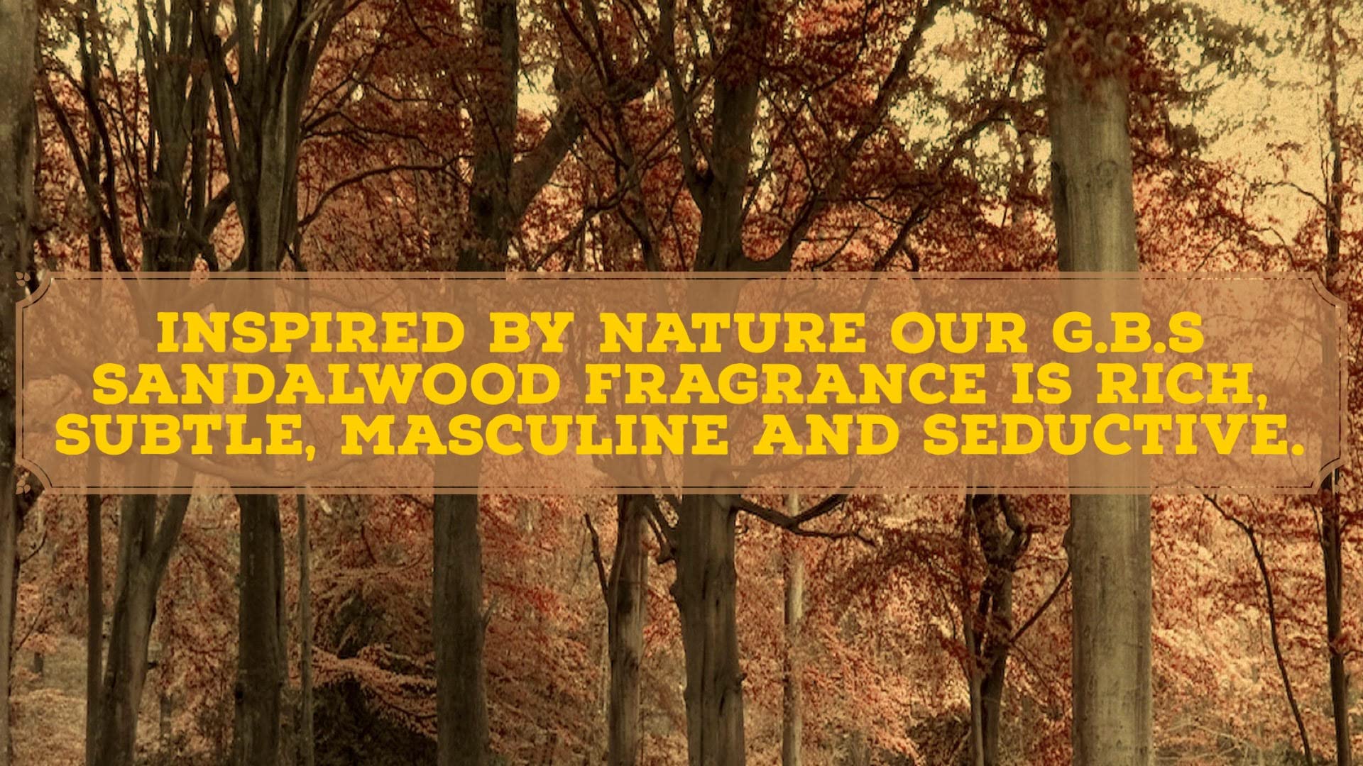 Ocean Driftwood 97% All Natural Shave Soap -- GBS (3)