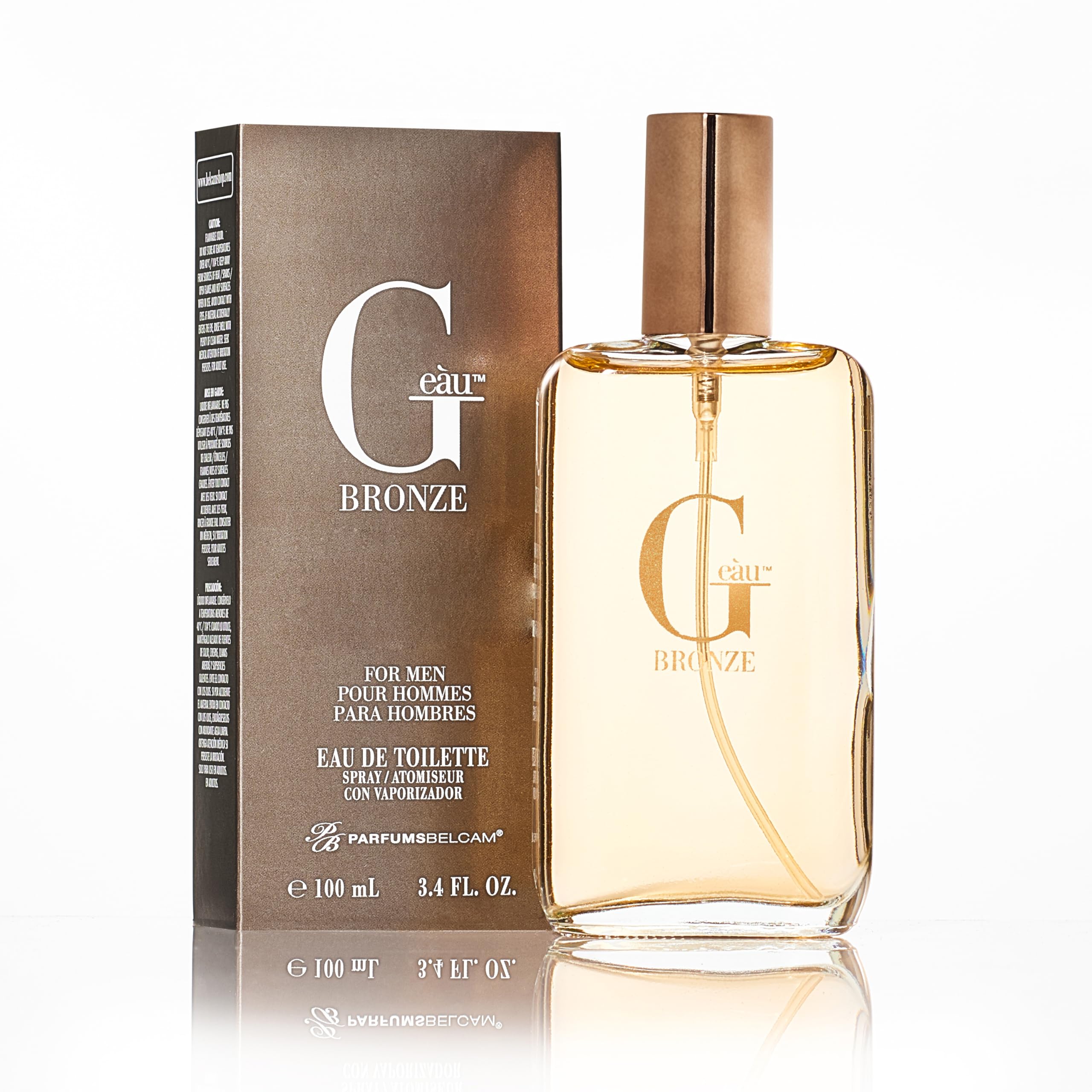 PB ParfumsBelcam G Eau Bronze, Our Version of Acqua Di Gio Absolu, Eau de Toilette Spray, 3.4 Fl Oz
