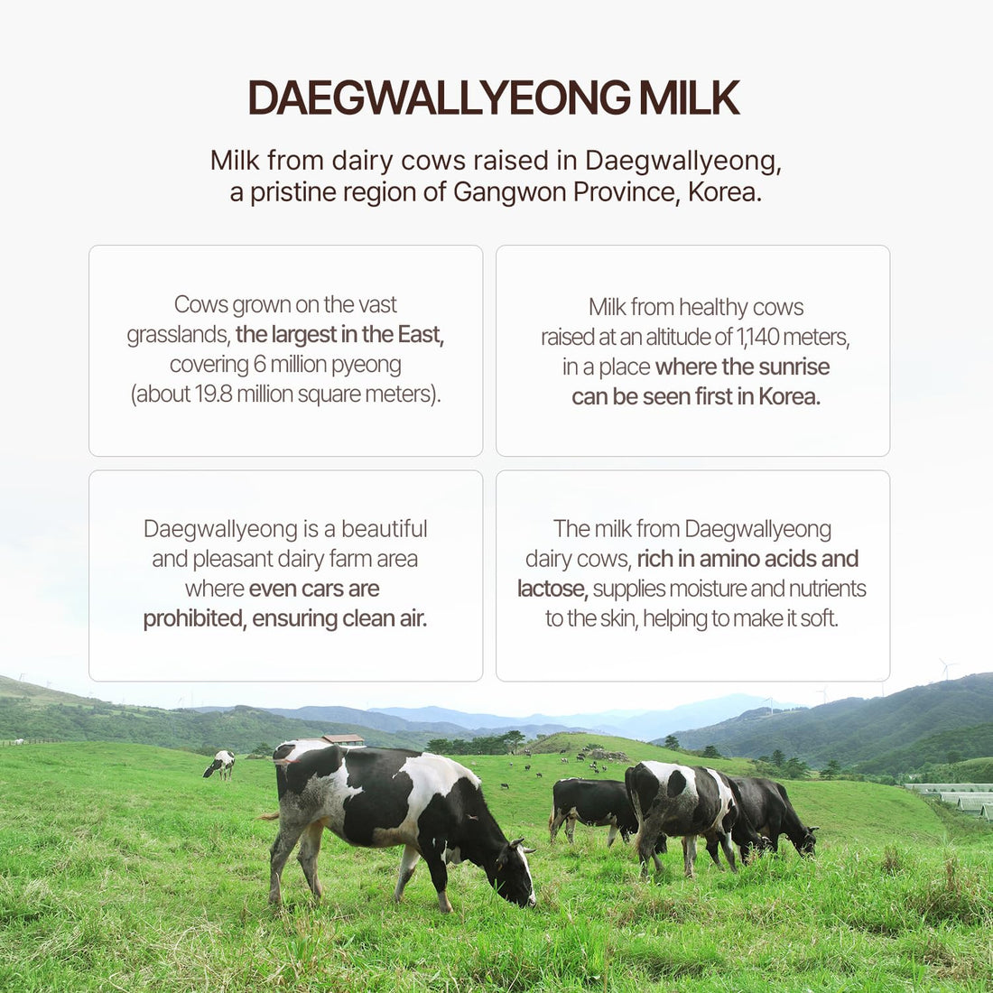 Somang Milk Body Lotion 500ml (Milk Hydrates, Moisturizes and Soothes Skin)