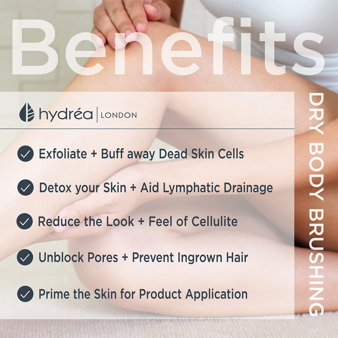 Hydrea London Classic Short Handled Body Brush With Natural Bristle WBH3