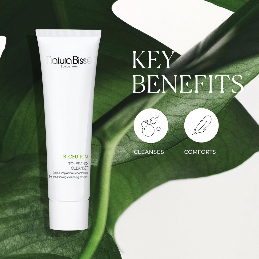 Natura Bisse Tolerance Cleanser, 5.3 Fl. Oz.