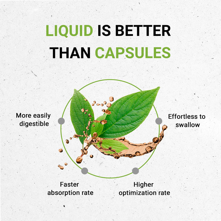 Secrets of the Tribe Bromelain Tincture Alcohol-Free Extract, Wildcrafted Bromelain, Pineapple (Ananas Comosus) (2 FL OZ)