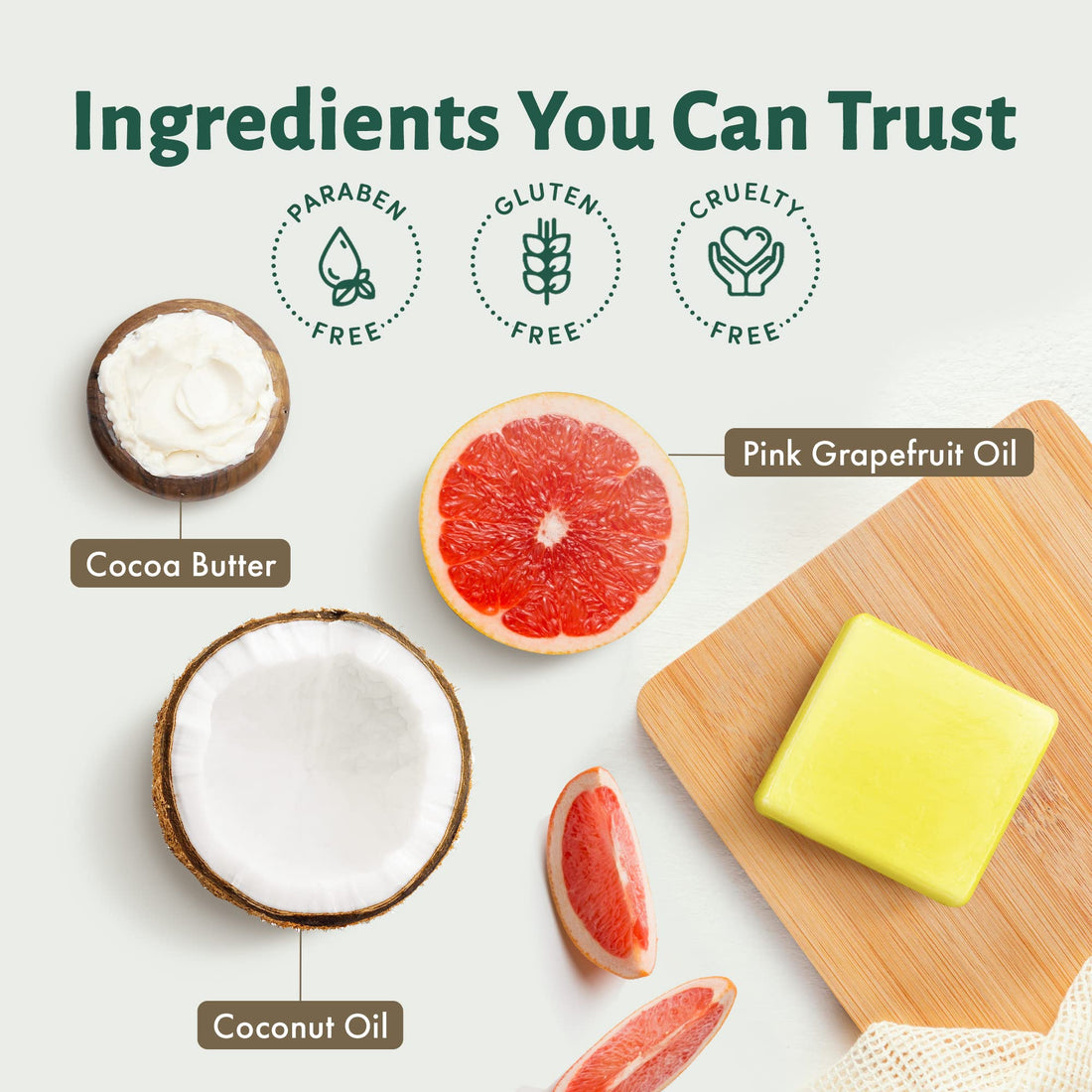 Terra Pure Shampoo Bar | Oil Infused by 1-Shoppe | Plastic Free, Soap Free, Vegan, Plant Based, Sustainable, Eco-Friendly, & Zero Waste