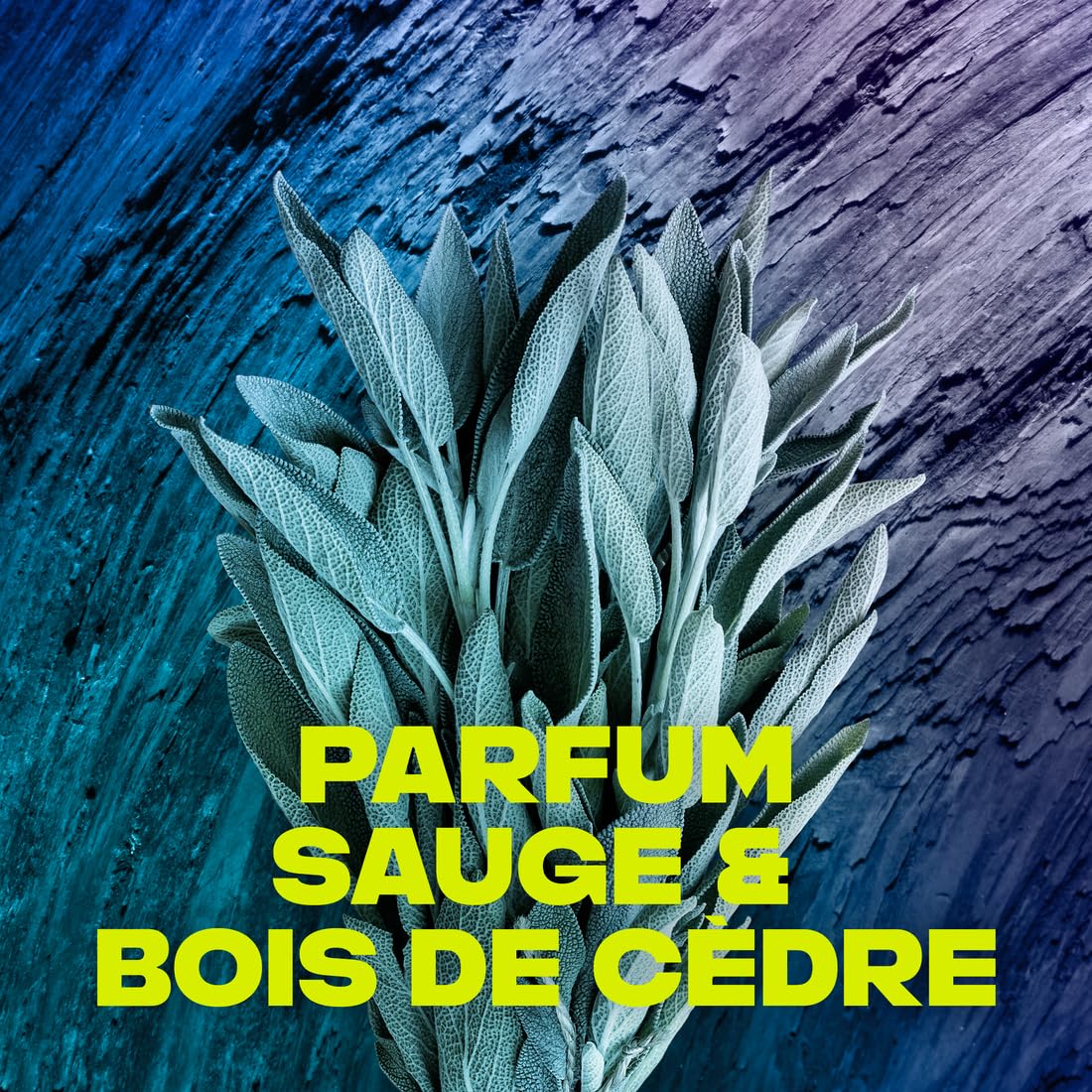 Axe Apollo Shower Gel 250 ml