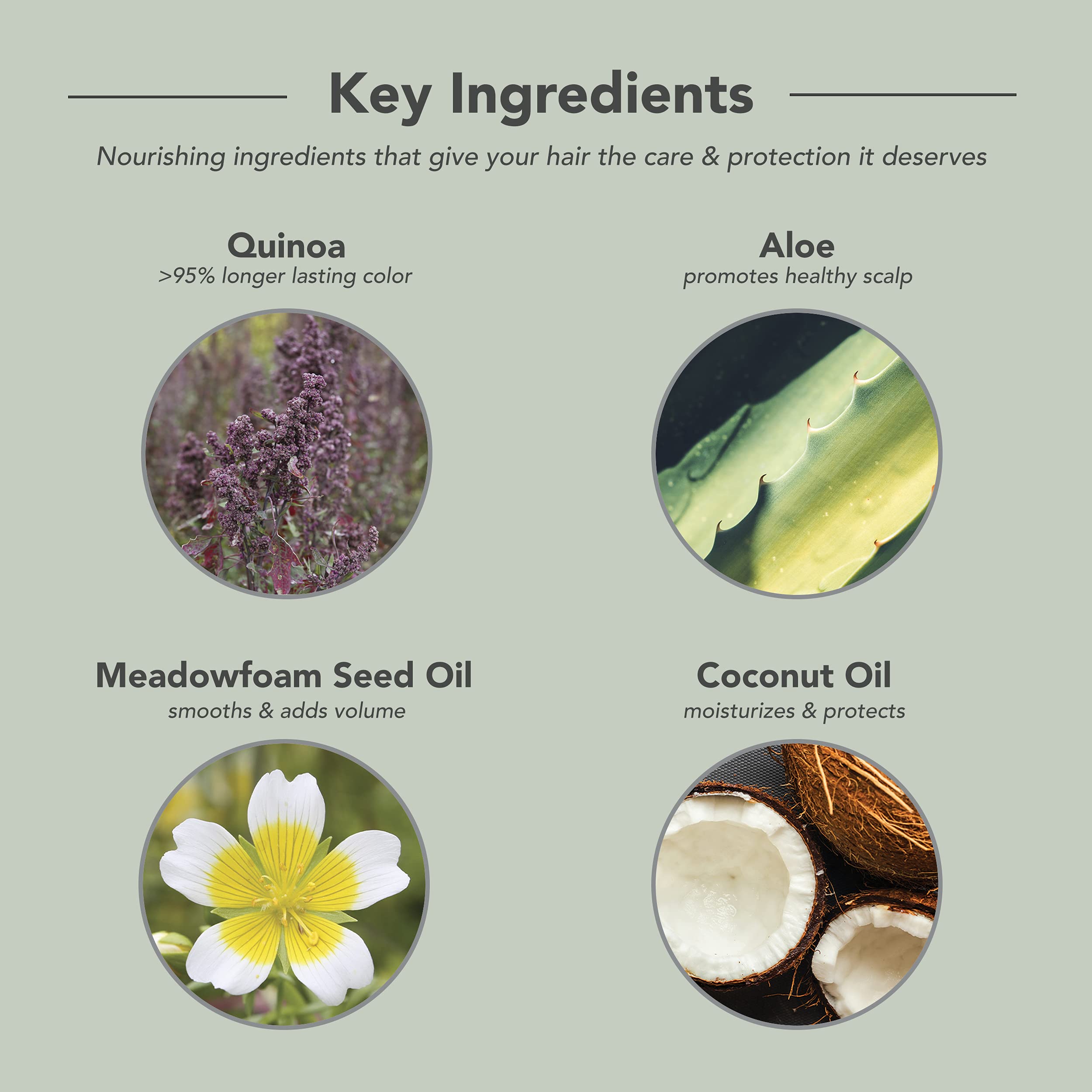 Framesi Color Lover Primer 11 Leave In 8.5 oz