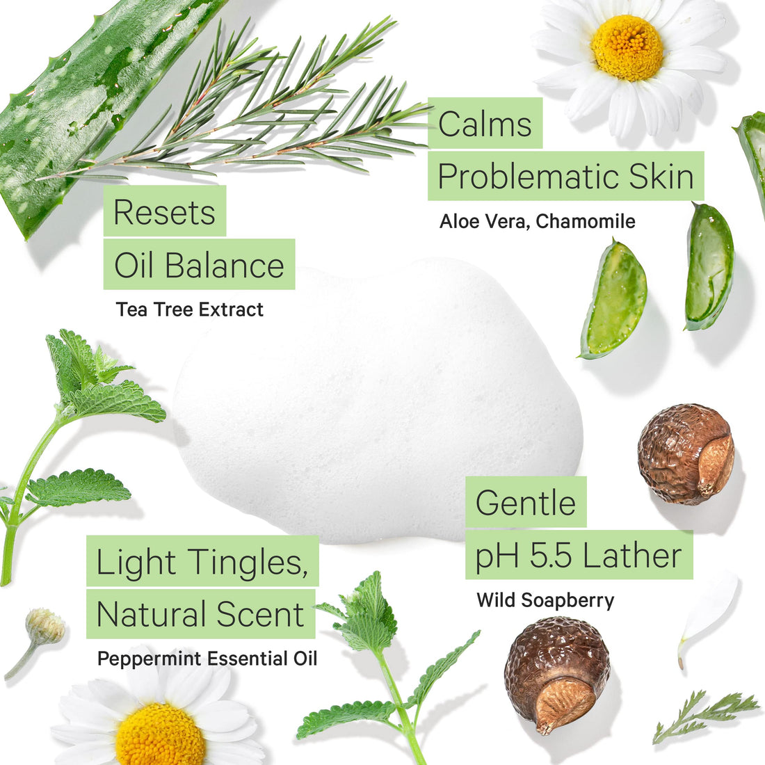 Gentle, Acne Face Wash for Oily Skin. The Only pH 5.5 Balanced Peppermint Foaming Cleanser for Sensitive Skin â€“ Women and Mens Face Wash Made with Organic Wild Soapberries, 4 ozâ€”by Tree To Tub