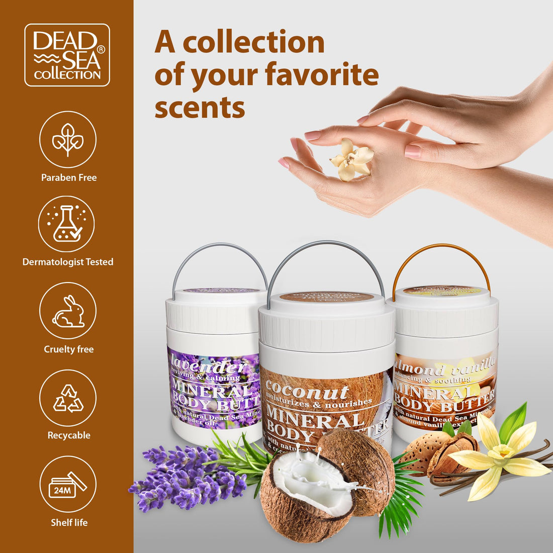 Dead Sea Collection Coconut Body Butter for Women with Dead Sea Minerals – Nourishing, Moisturizer, Softening and Smoothing Dry Skin (16.9 FL. OZ)