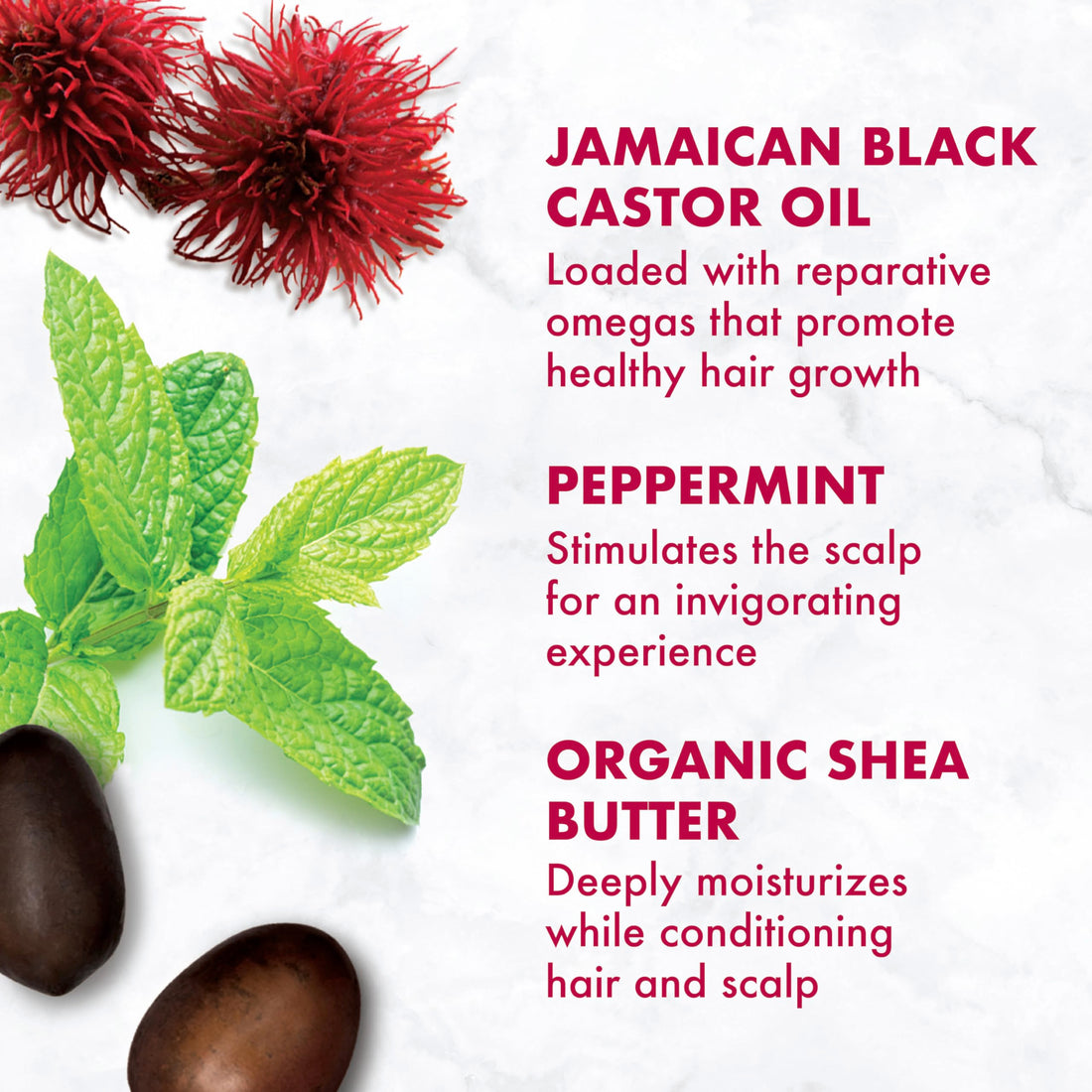 SheaMoisture Strengthen & Restore Shampoo, Conditioner & Leave-In Bundle Jamaican Black Castor Oil 3 Pack to Cleanse & Nourish Dry, Damaged Hair