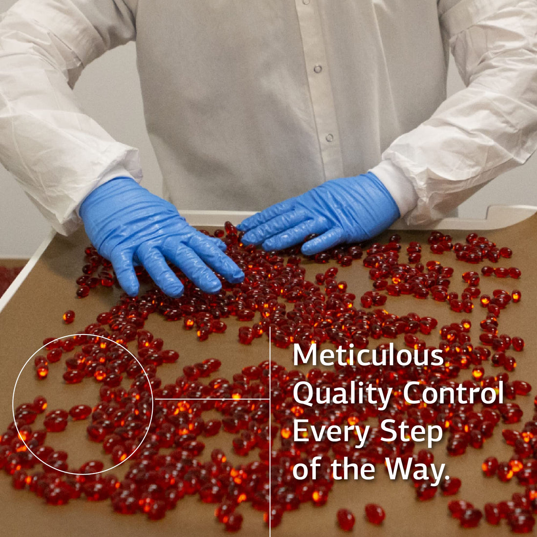 Standard Process Inc. Olprima DHA - Whole Food Cognitive Health, Brain Health and Heart Health, Astaxanthin, DPA and DHA with Omega 3 Tuna Fish Oil and Rosemary - Gluten Free - 60 Softgels