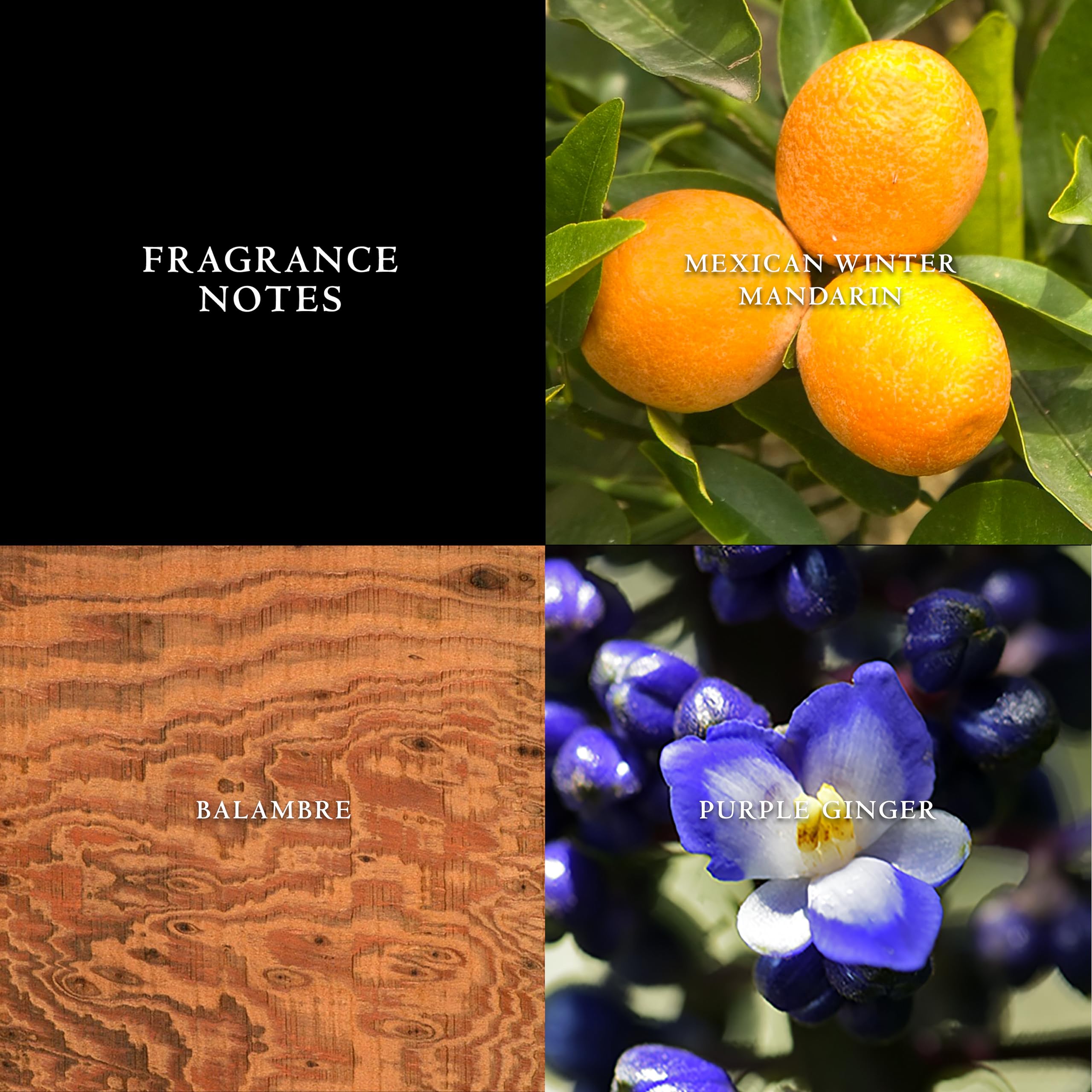 John Varvatos Artisan Eau de Toilette Spray, 2.5 fl. oz.