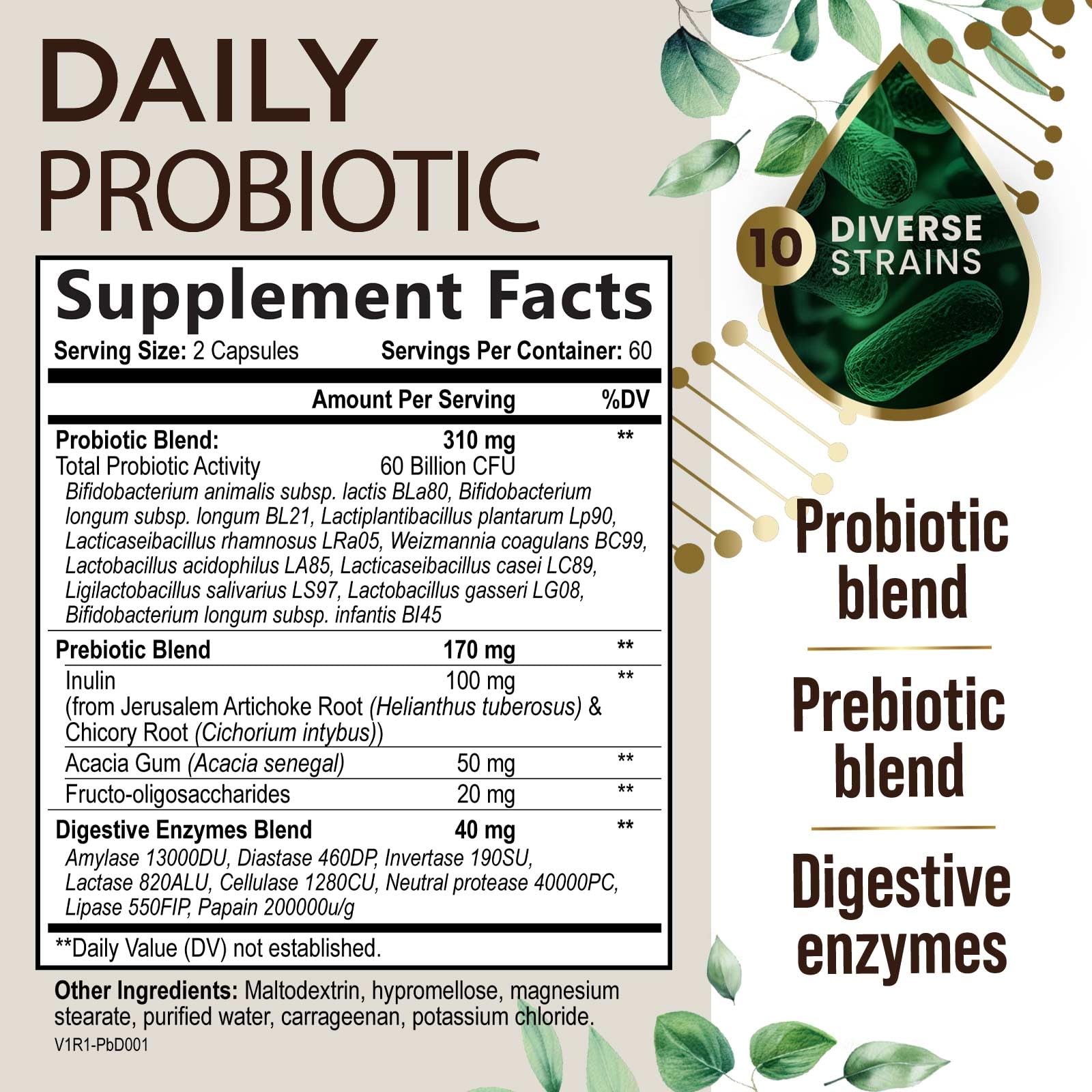 Daily Probiotic and Acidophilus Prebiotics Supplement 60 Billion CFU Capsule for Women & Men - 10 Strains Plus Digestive Enzymes - for Bloating Gas & Gut & Immune Health Support - 120 Capsules