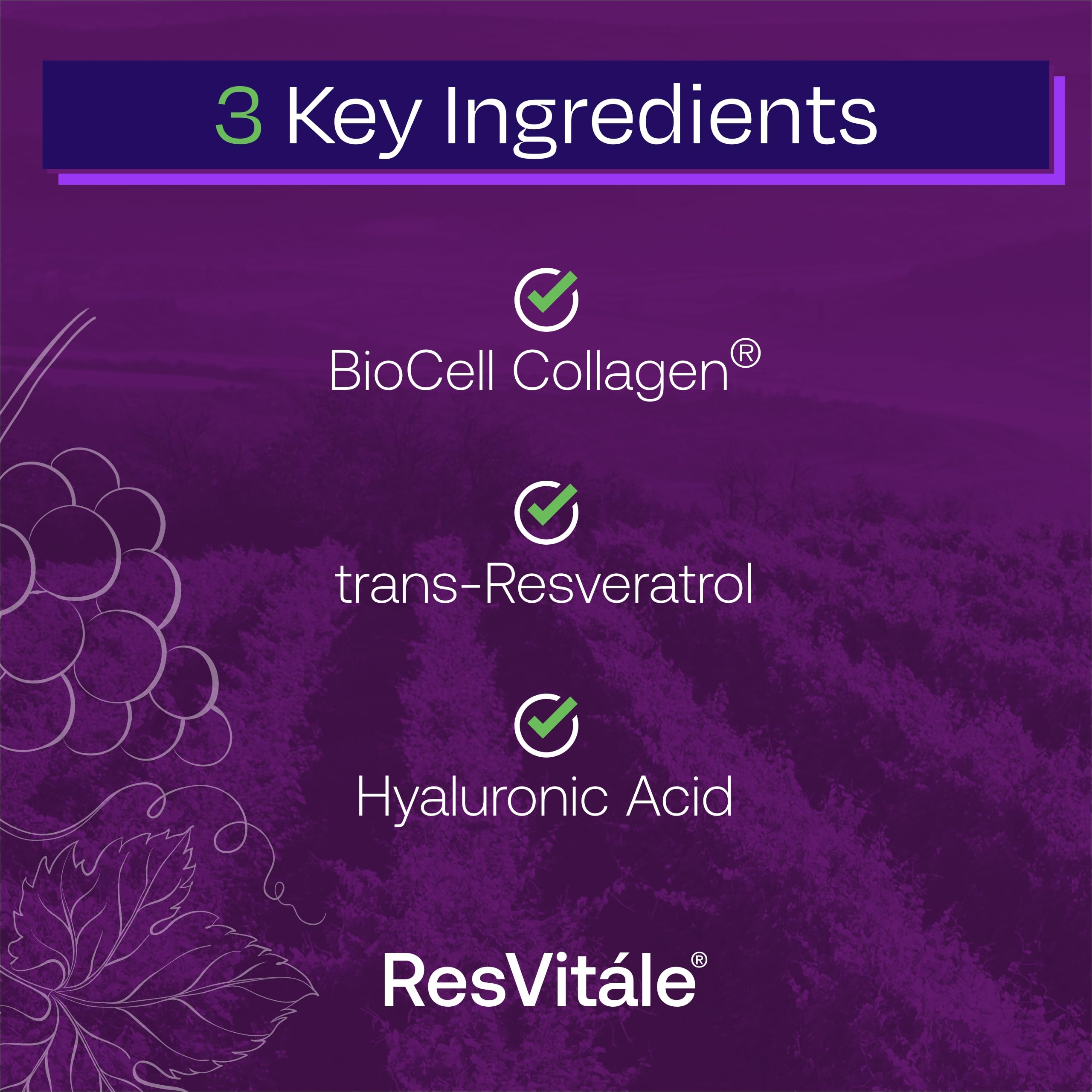 ResVitále Collagen Enhance - Beauty Supplement with Hyaluronic Acid & Resveratrol - 60 Capsules