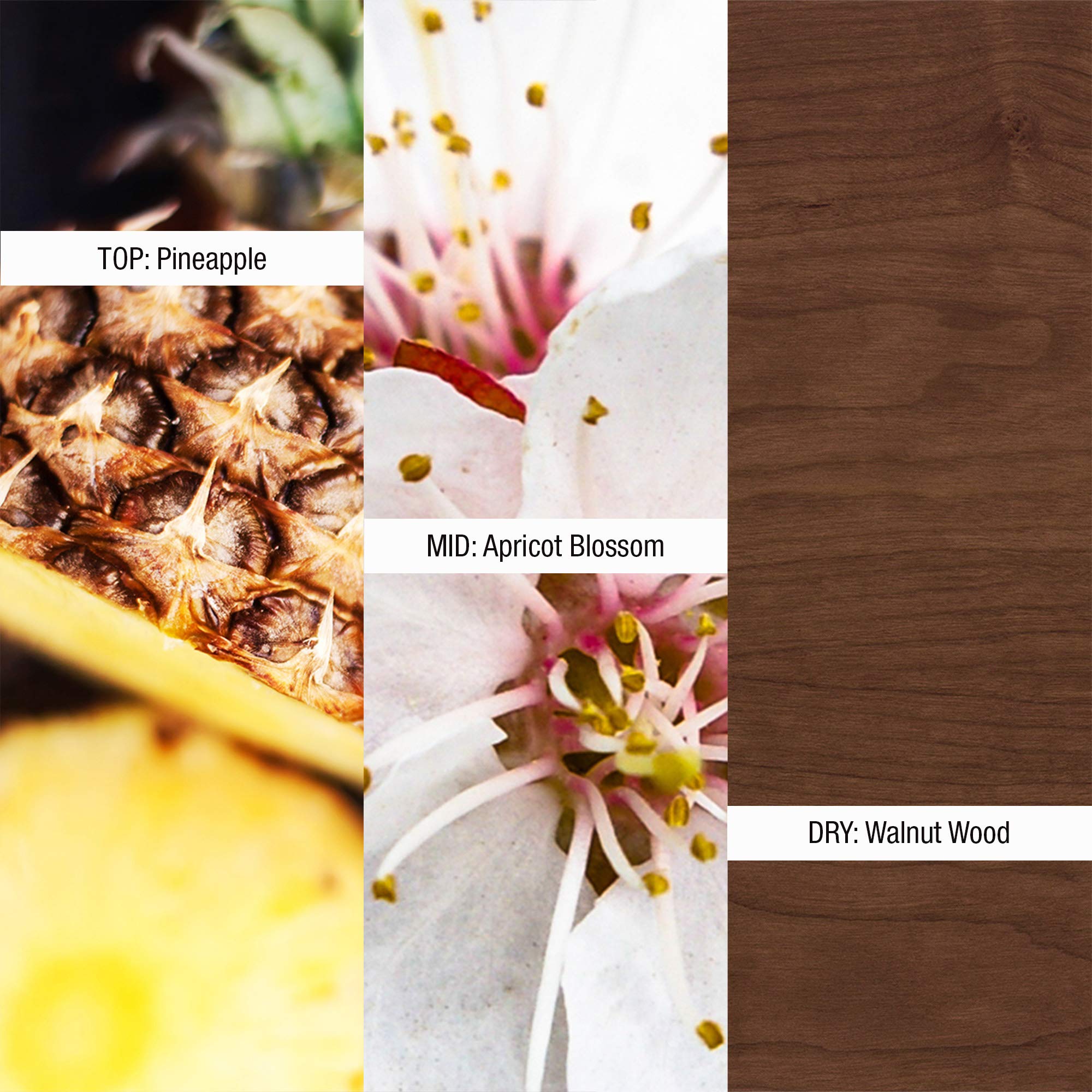 Shawn Mendes Signature II Perfume Spray for Women & Men, 1.7 fl. oz.