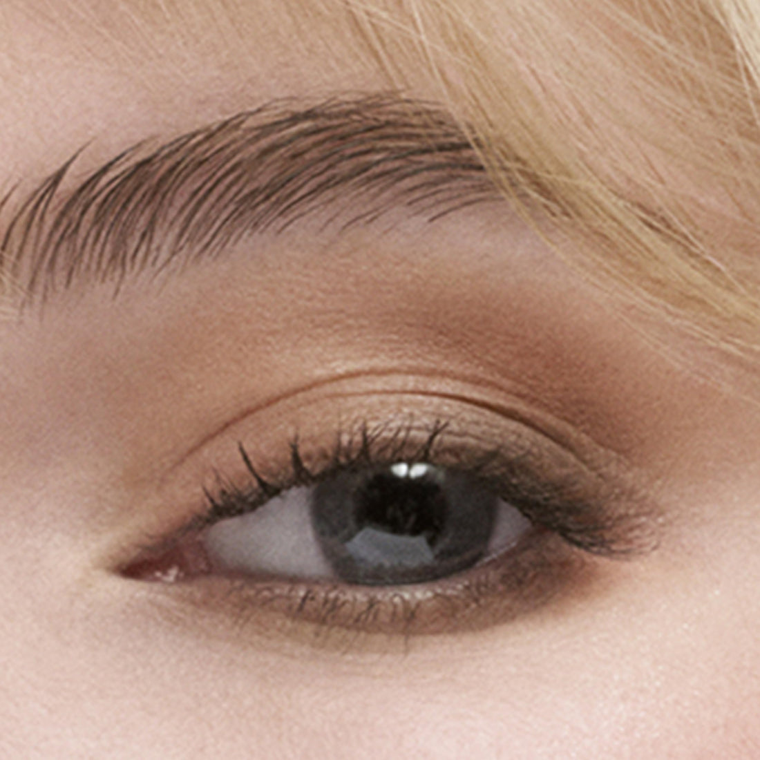 Estée Lauder The Essential Eyeshadow Quad Long-Lasting Palette | Shape, Sculpt, Magnify, Gallery Hop, 0.14 Ounce