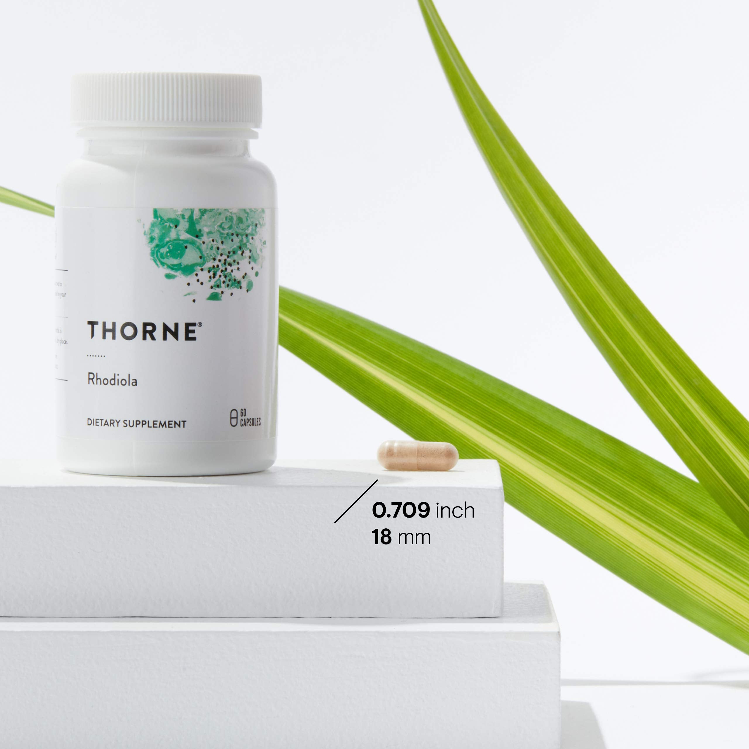 THORNE Rhodiola - Botanical Supplement for Stress Relief - Enhances Sleep, and Mental Focus - 60 Capsules