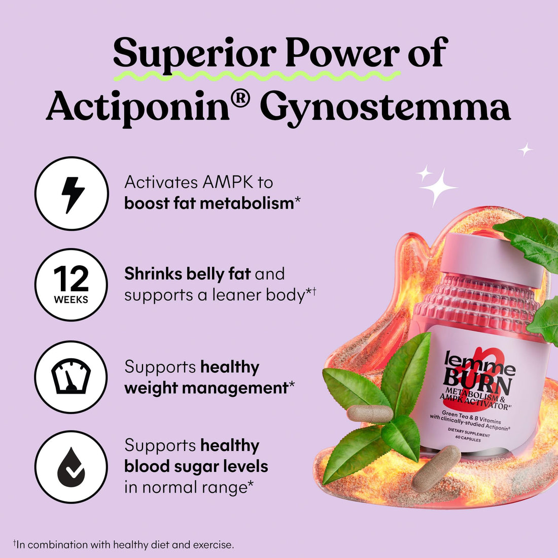 Lemme Burn - Metabolism, Belly Fat Burning + AMPK Activating Supplement for Men & Women w/Clinically Studied Actiponin Gynostemma, Green Tea Extract, Vitamins B6 & B12 - Gluten Free, 180 Count