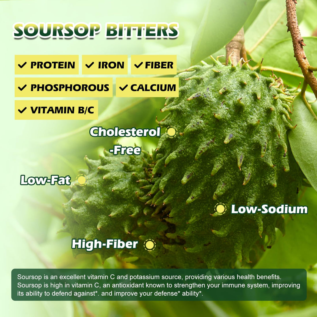 Soursop Bitters Liquid Drops, Soursop Graviola Multivitamin Drops with Sea Moss Black Seed Oil Supplement - Soursop Fruit Supports Antioxidant, Slowing Cell-Aging, Gut Cleanse, Detox & Immunity