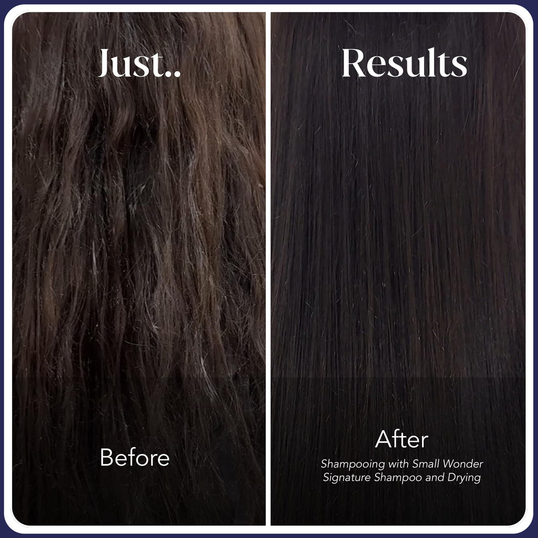 SMALL WONDER Signature Shampoo – 2.5 oz (50-80 Washes) – Sulfate-Free, Paraben-Free, Color-Safe – First-of-a-Kind Powder-to-Creamy-Lather Formula – For Shinier, Smoother Hair