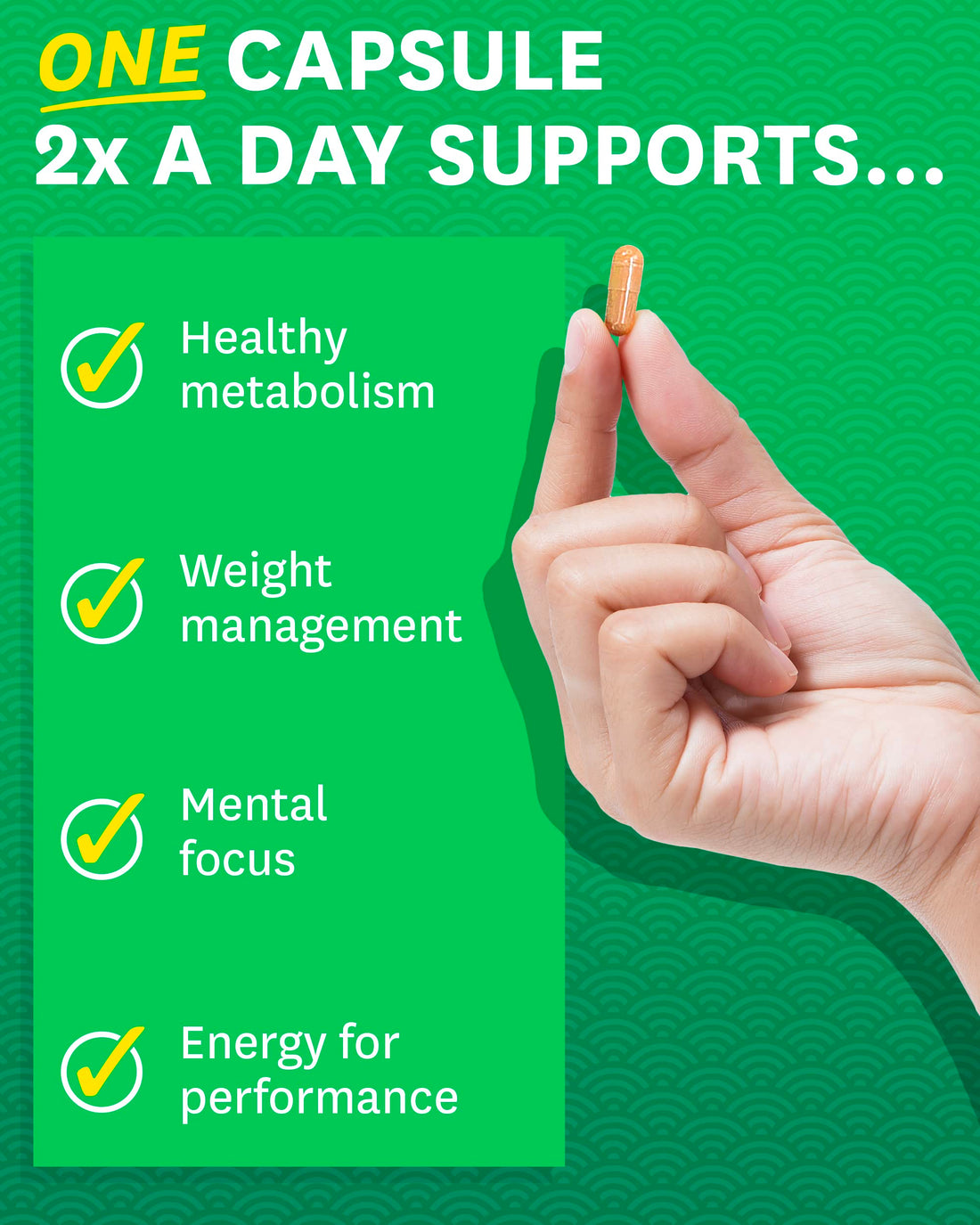 Zenwise Health EGCG Green Tea Extract Capsules - Mental Focus + Immune Health + Antioxidant + Heart Support with Green Coffee Bean for Energy & Metabolism Boost - 120 CT