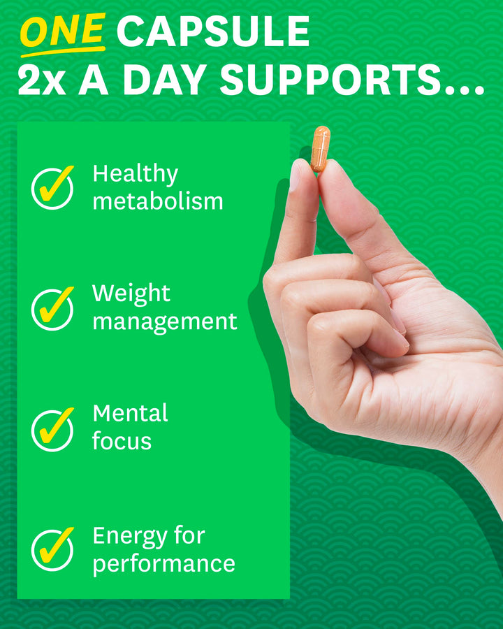 Zenwise Health EGCG Green Tea Extract Capsules - Mental Focus + Immune Health + Antioxidant + Heart Support with Green Coffee Bean for Energy & Metabolism Boost - 120 CT