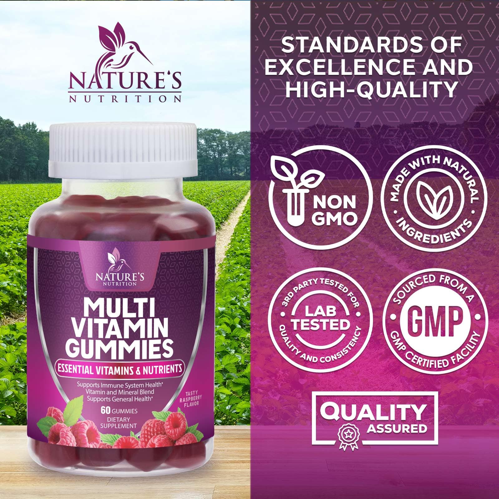 Multivitamin Gummy Vitamins, Berry Flavored Adult Daily Vitamins for Women & Men with Multi Vitamin A, C, D, E, B6, B12, Zinc & Antioxidants Supplement for Immune Health Support, Non-GMO - 60 Gummies