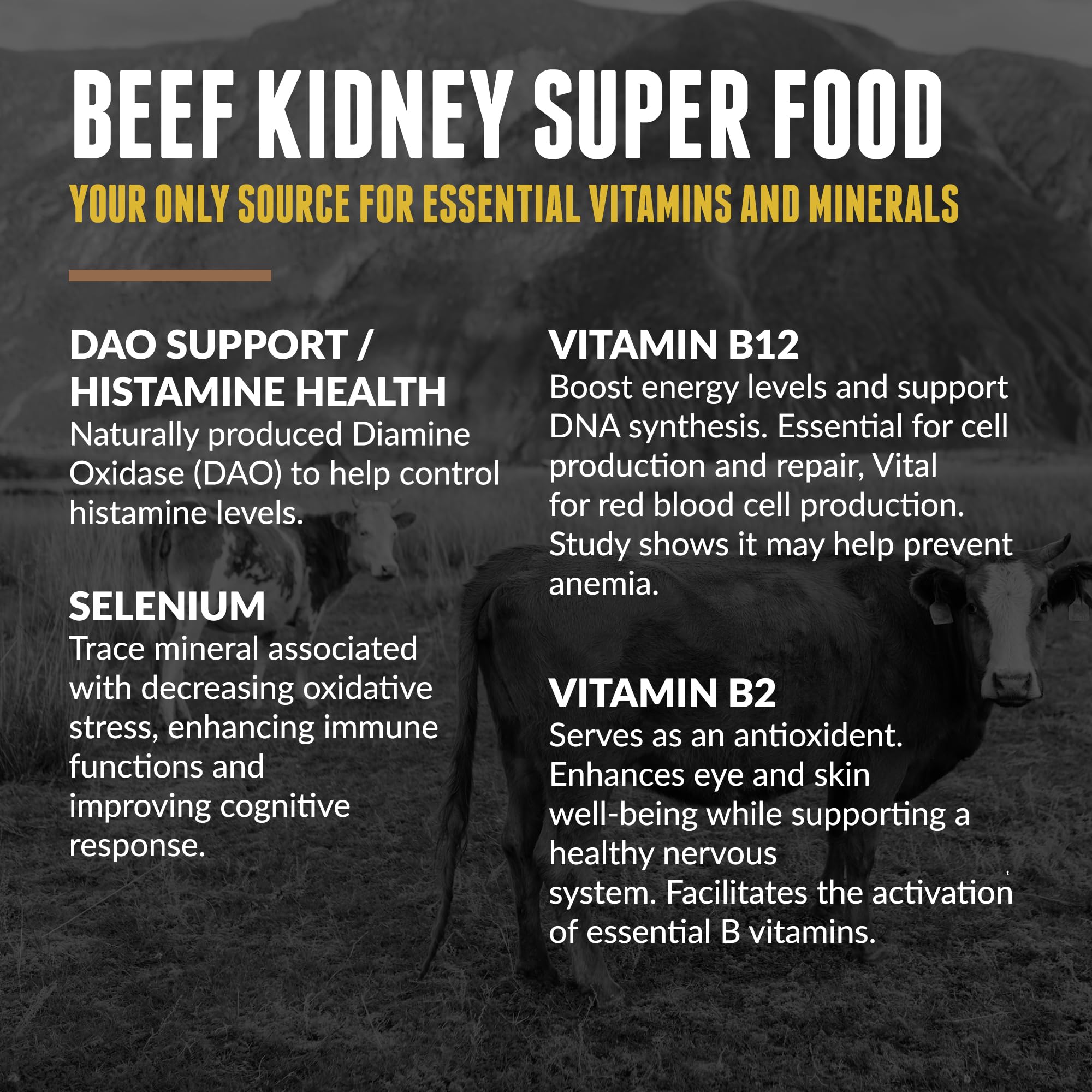 Grass Fed Beef Kidney Supplement - (200 Count) New Zealand Sourced for Kidney Support and DAO Health