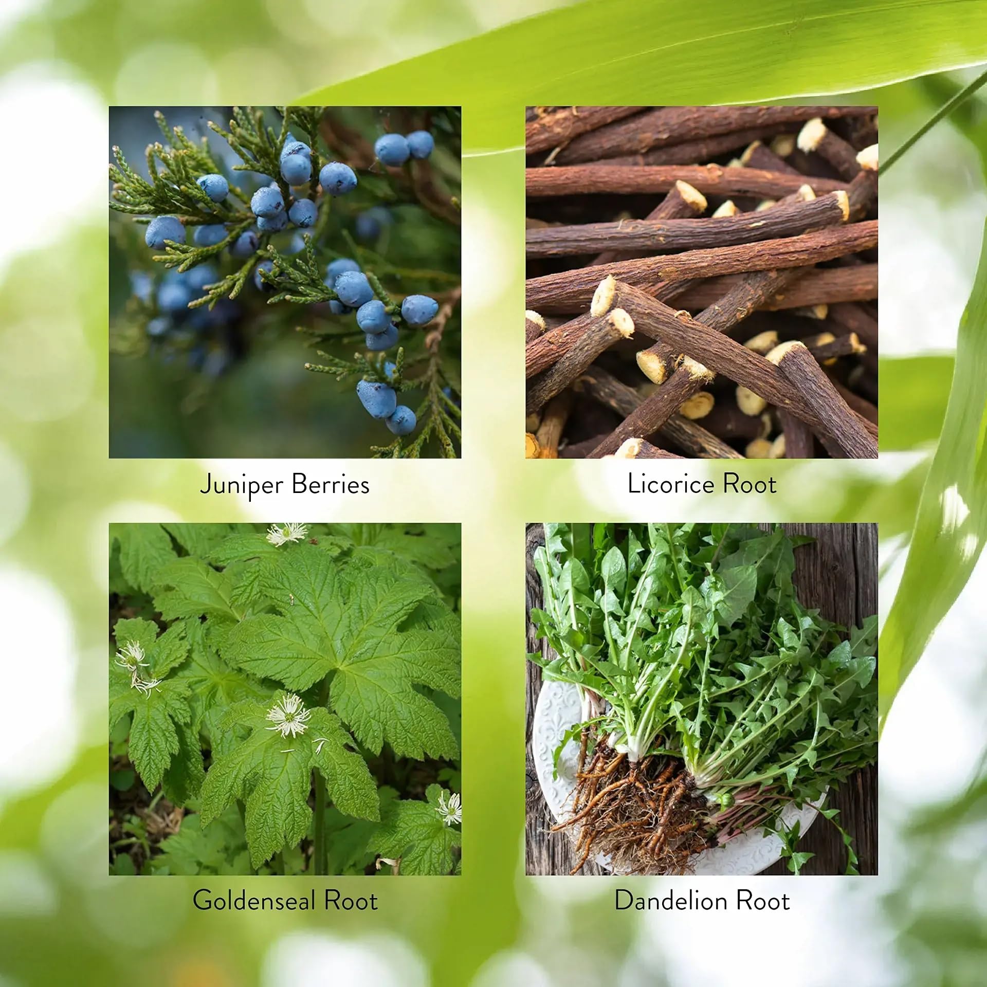 Nature's Sunshine Pro-Pancreas, 100 Capsules, Kosher | Herbal Formula Enhances Digestion, Promotes Immunity, and Helps the Liver and Pancreas