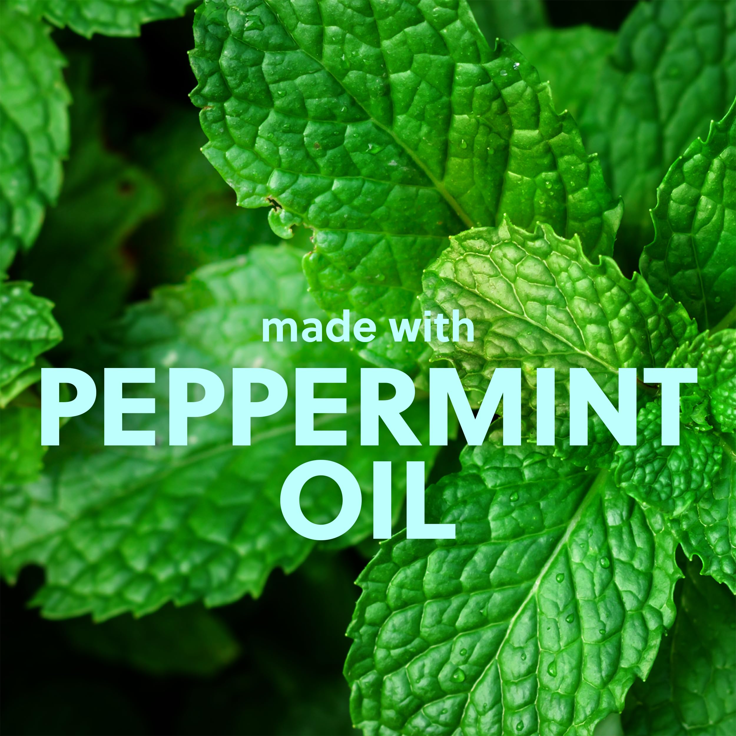 Tree Hut Candy Cane Moisturizing Foaming Gel Wash | Cleanse & Soothe Skin Without Stripping Moisture | Made with our Hydrating Oil Complex | Limited Edition Holiday | 18 fl oz.