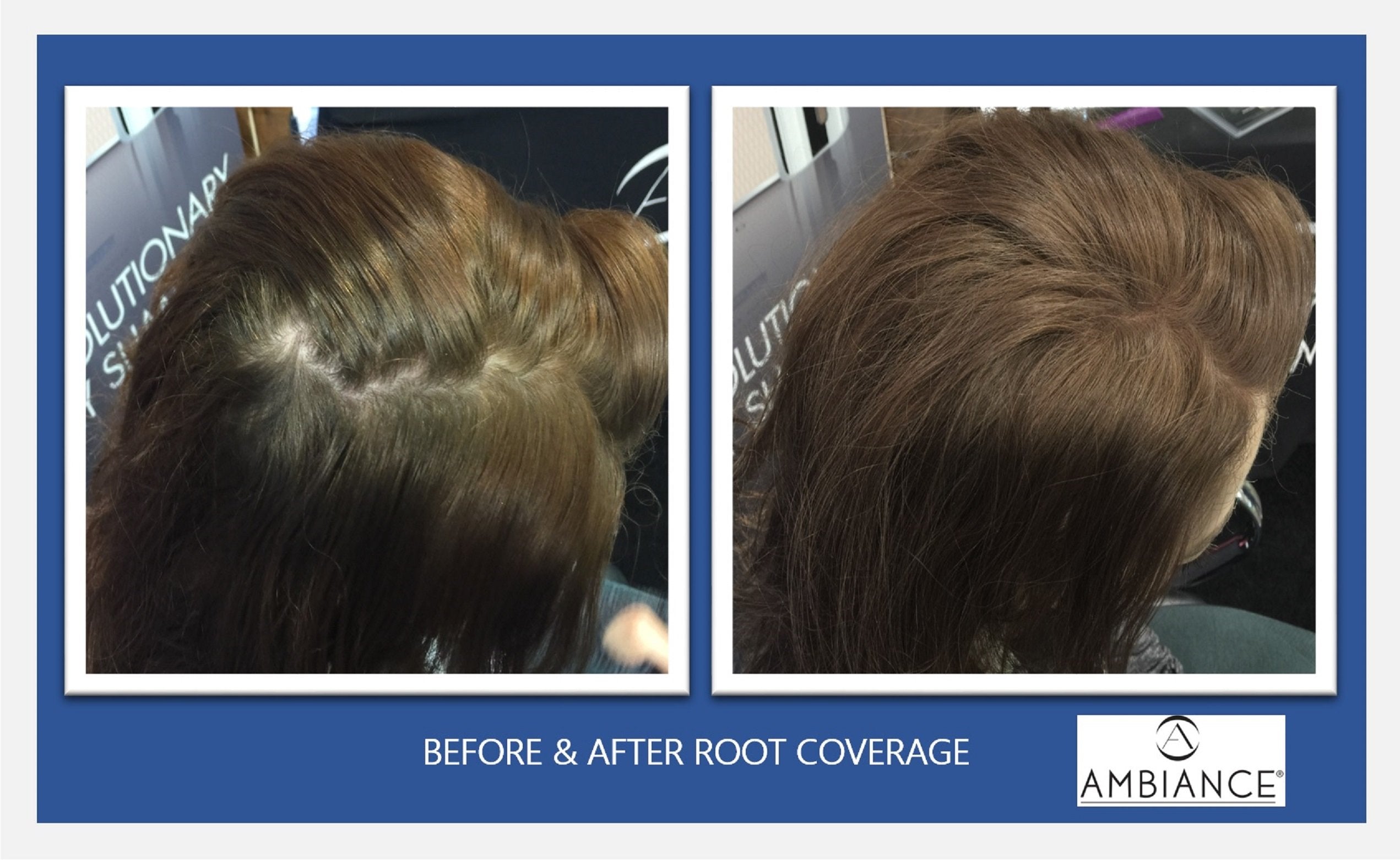 Ambiance Dry Shampoo Combo Pack, Applicator Brush & Refill- Black. All Natural Dry Shampoo!